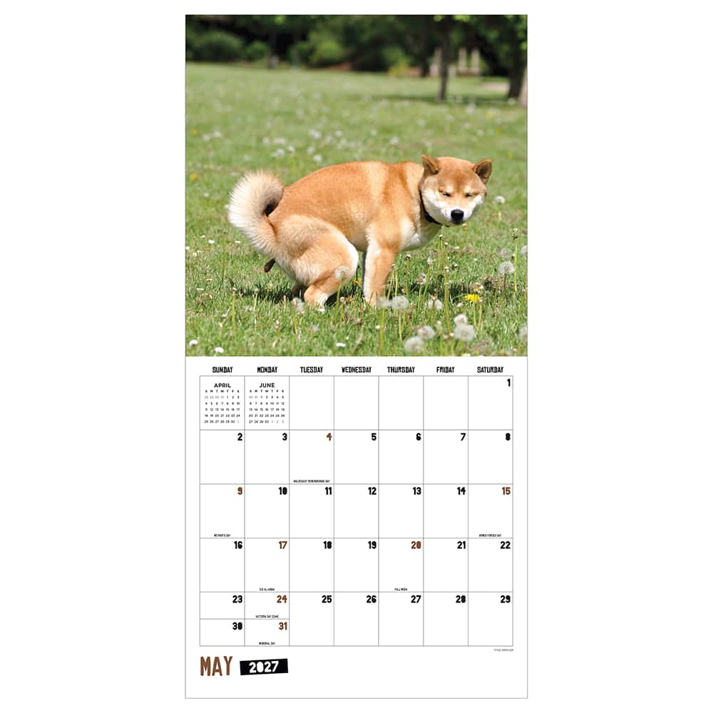 2027 Pooping Dogs Wall Calendar