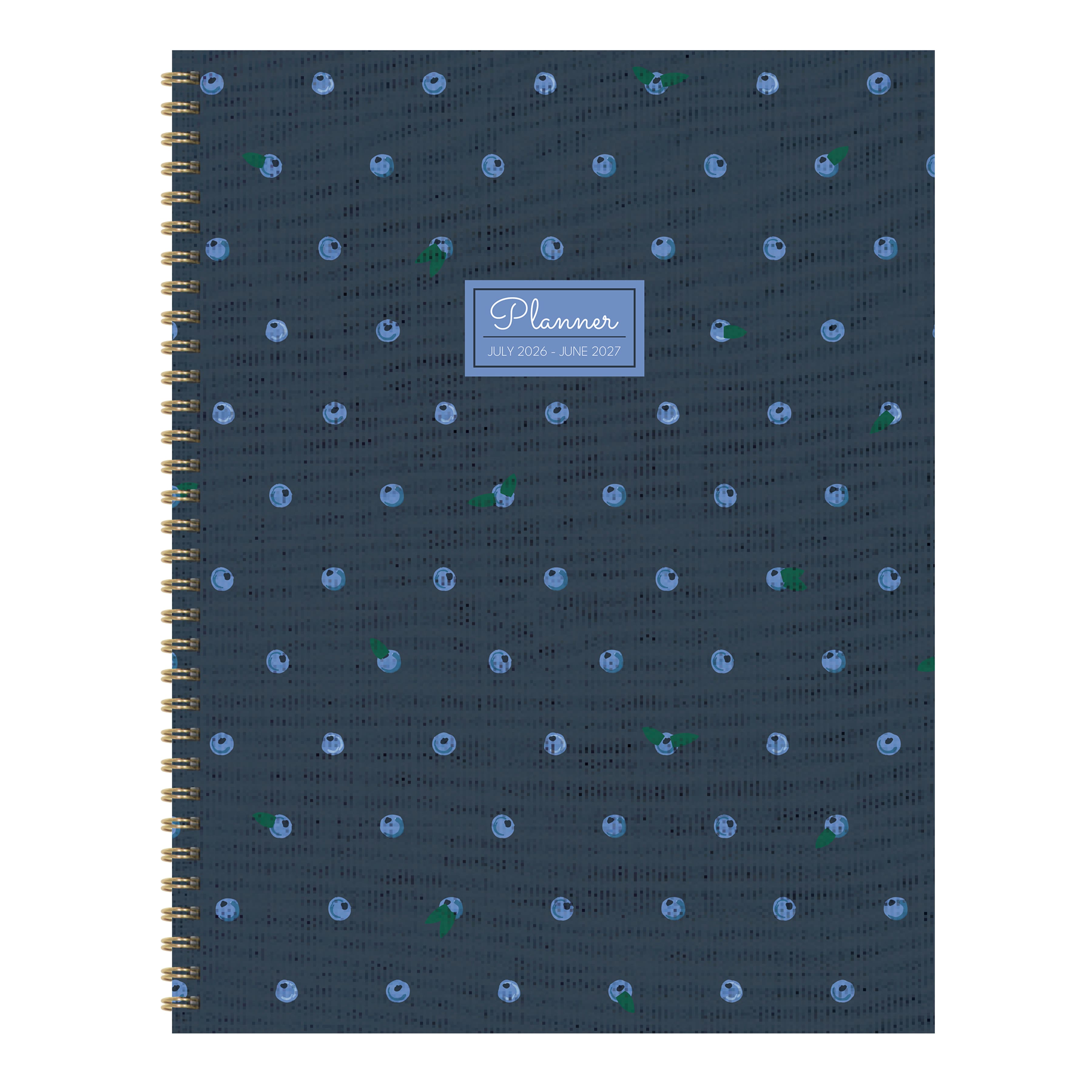 TF Publishing Large Very Blue Berry Weekly Monthly Planner