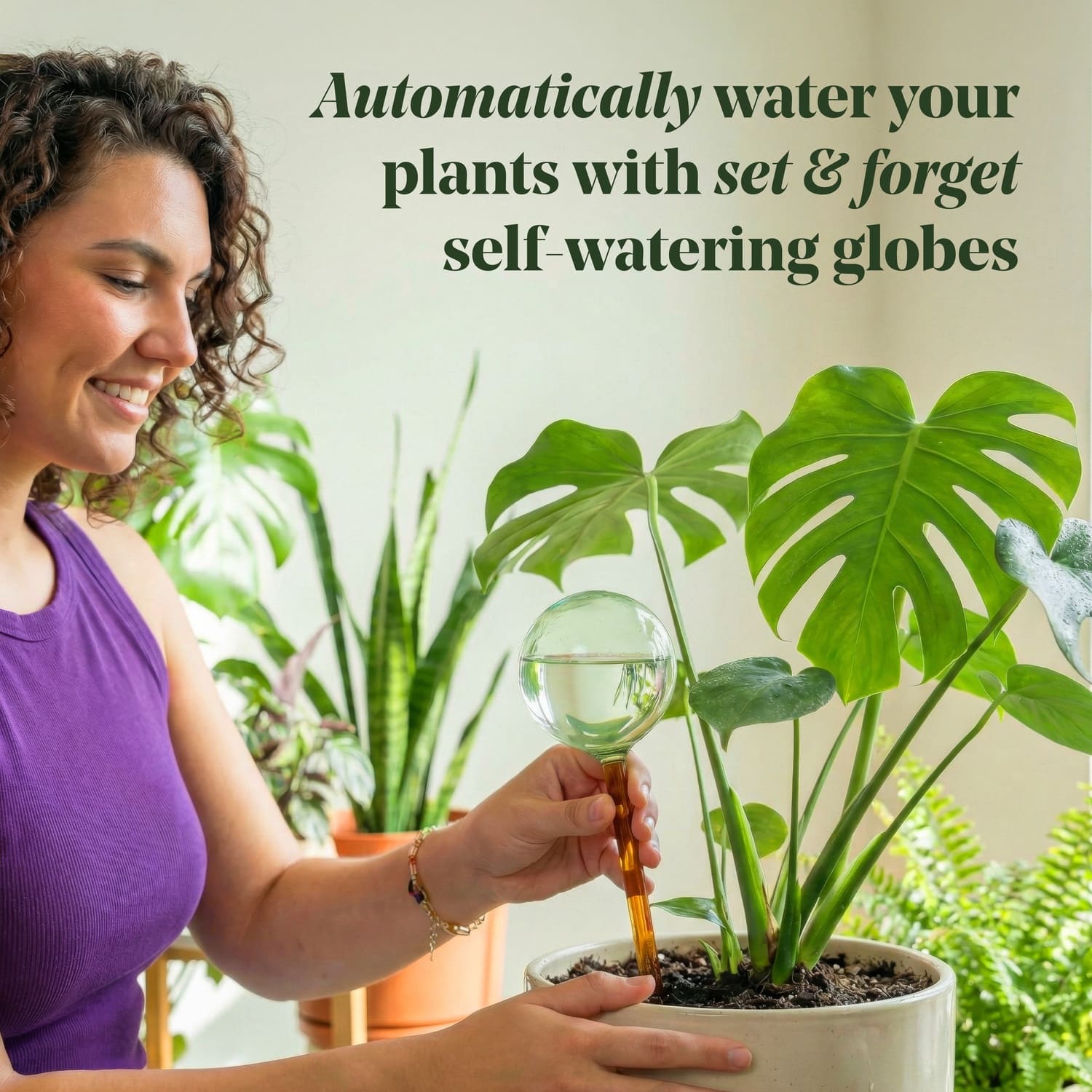 We The Wild™ Self-Watering Plant Globes