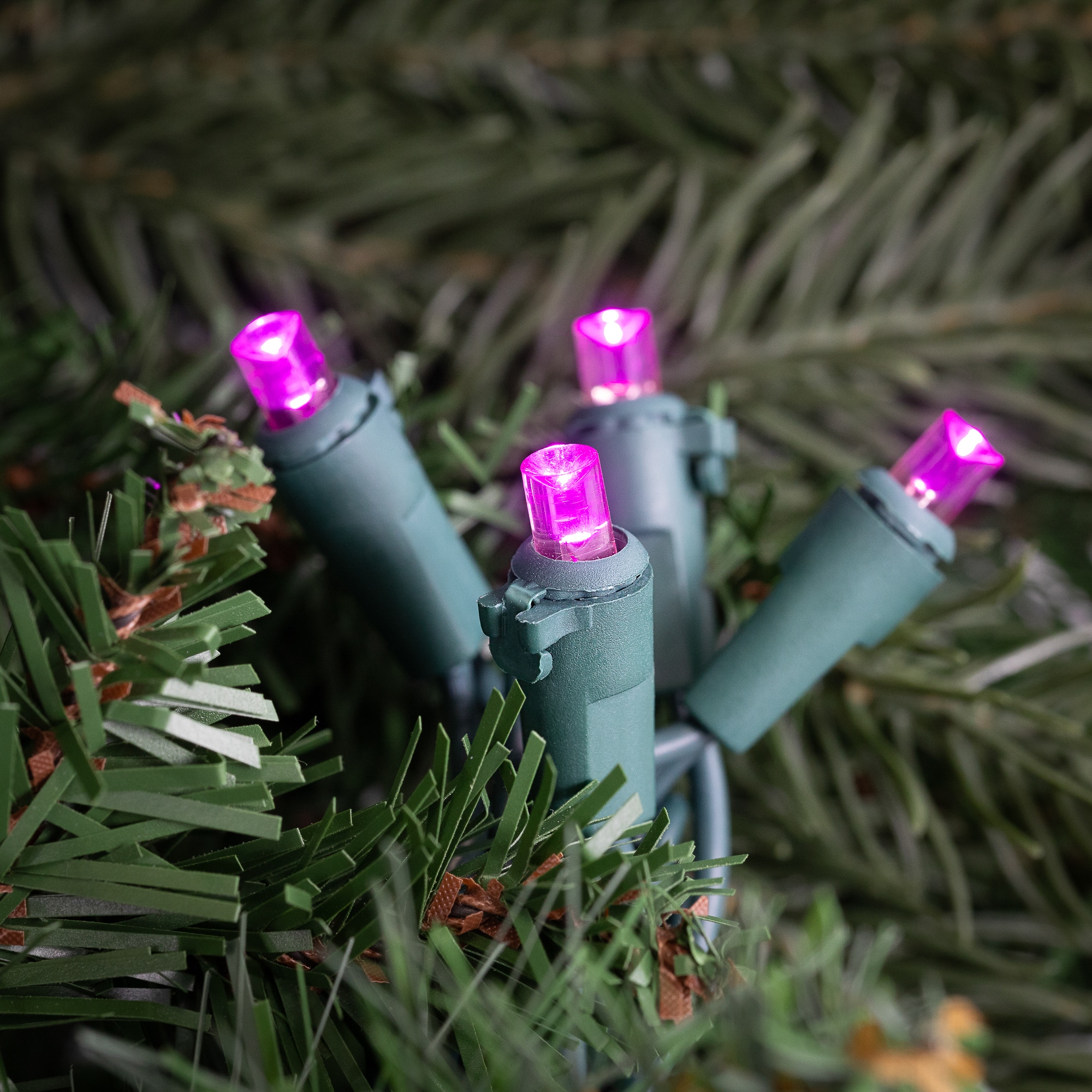 50ct Pink LED Wide Angle Christmas Lights  16.25ft Green Wire