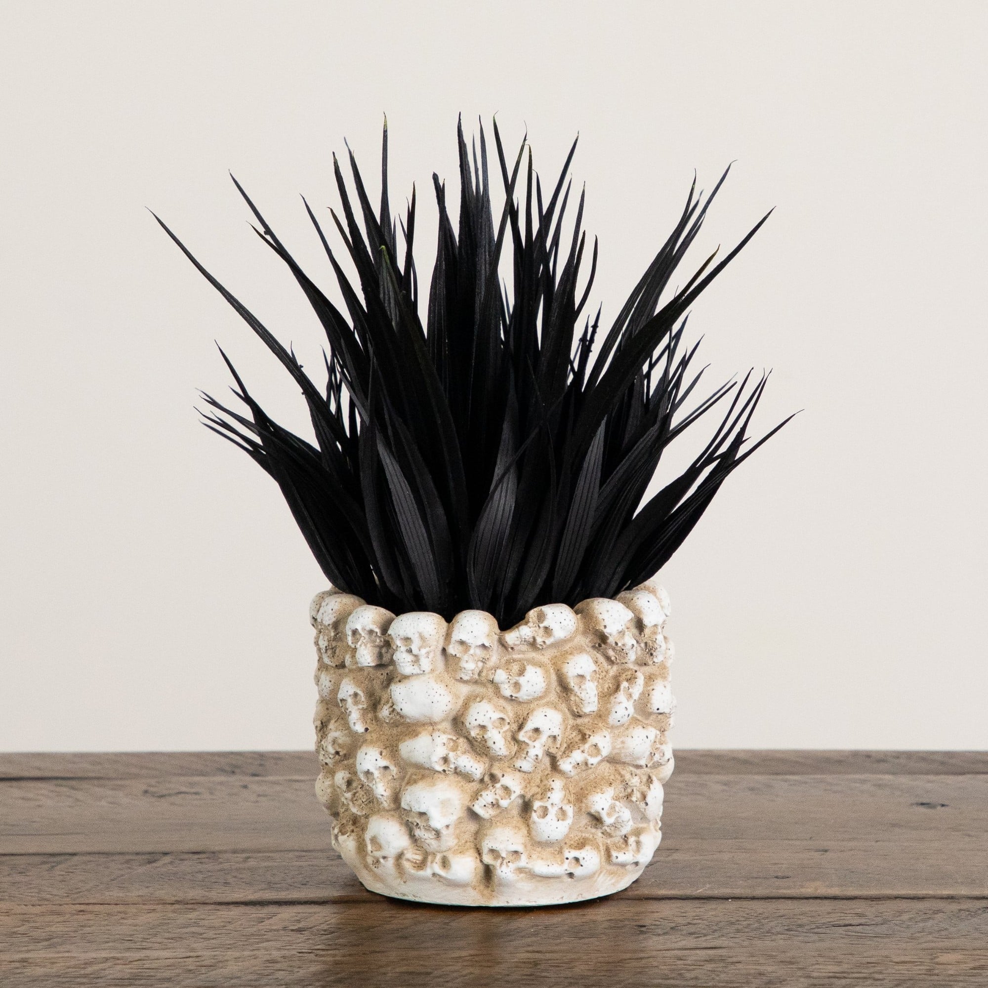 9" Artificial Halloween Black Succulent Plant in Gothic Skull Planter