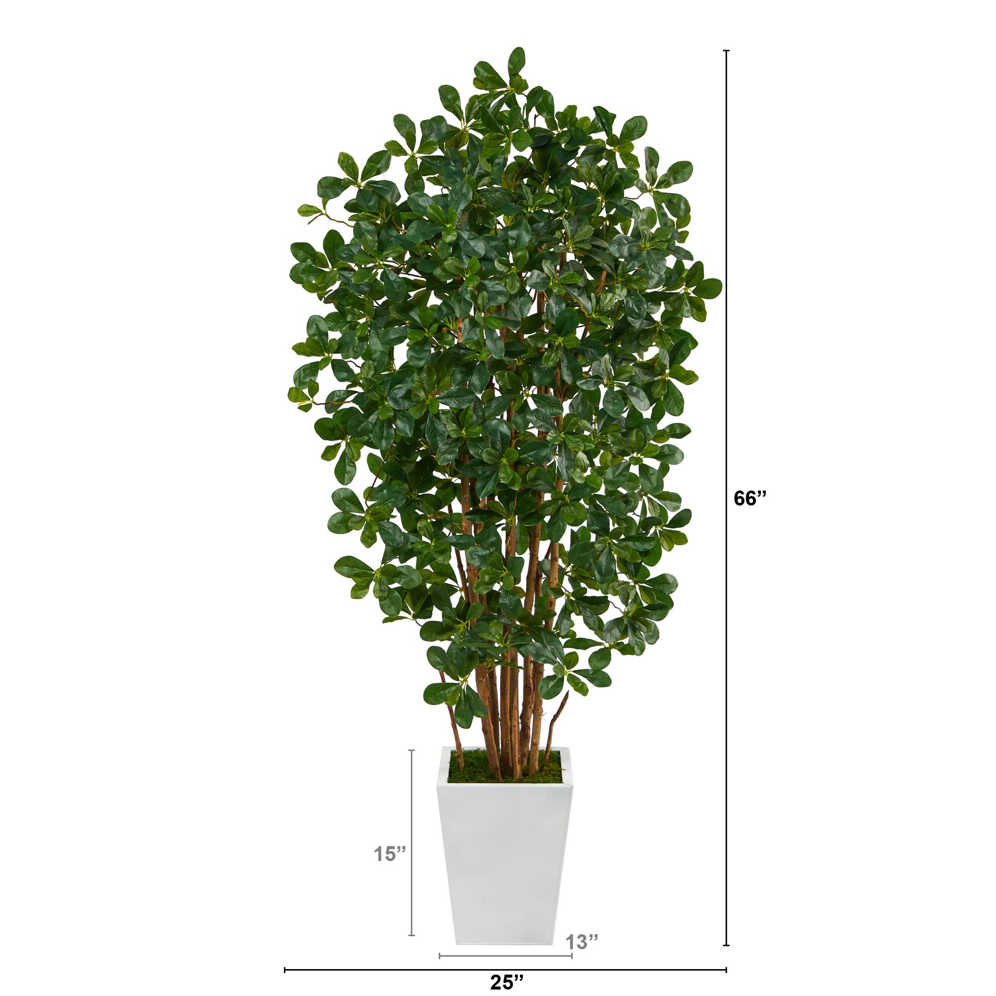 5.5ft. Black Olive Artificial Tree with 1365 Bendable Leaves in Metal White Planter