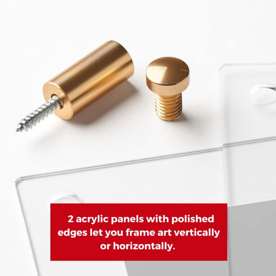 Cool Modern Frames Clear Acrylic Float Frame with Gold Hardware