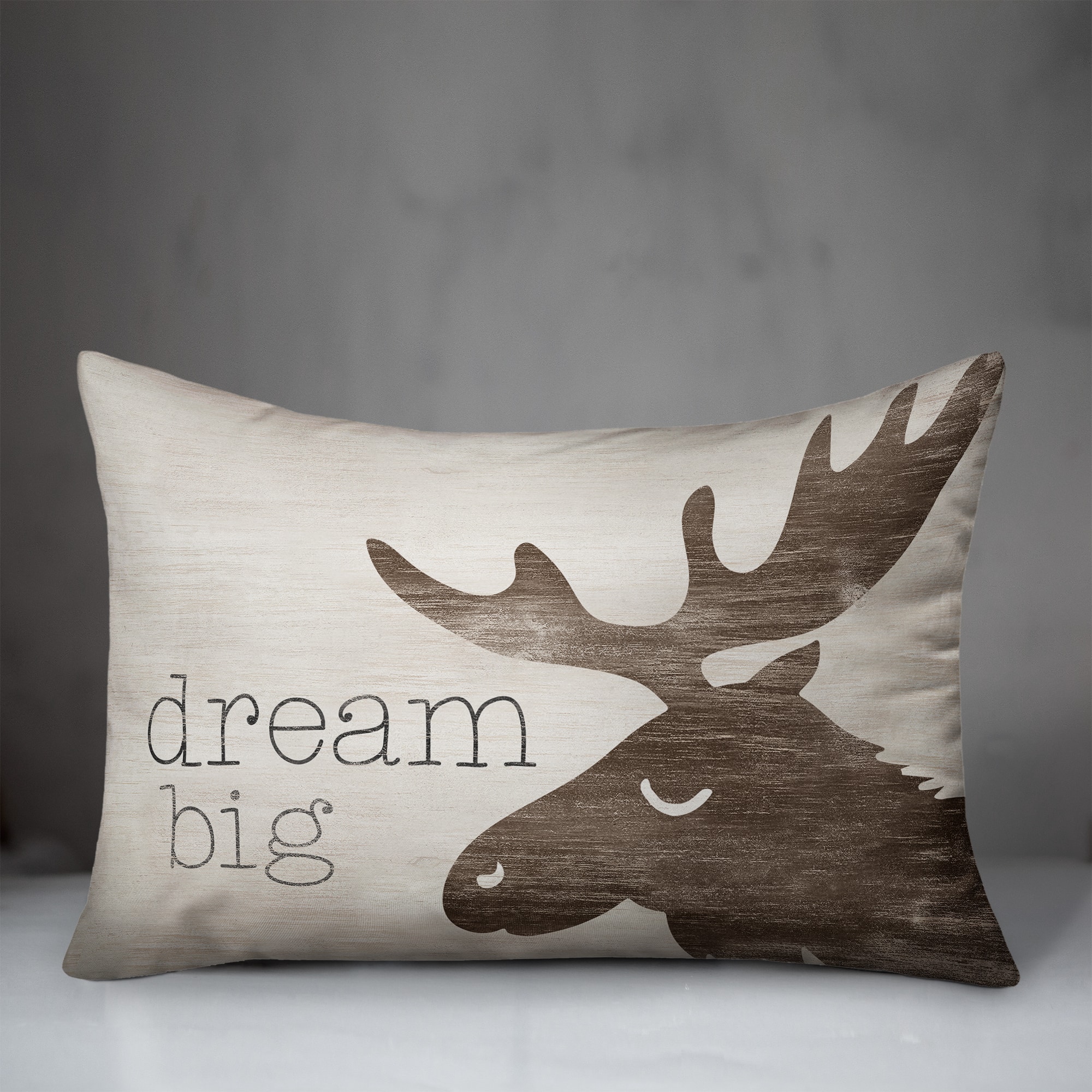 20" x 14" Dream Big Indoor & Outdoor Throw Pillow