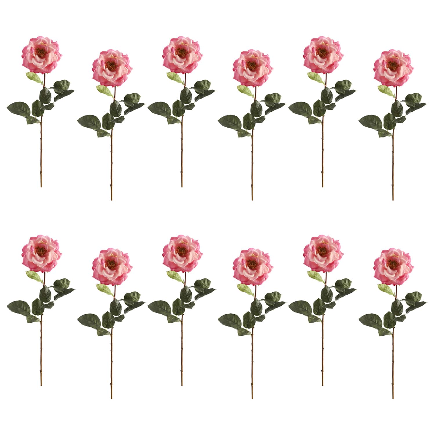 12 Pack: Pink Orlane Rose Stem by Ashland®