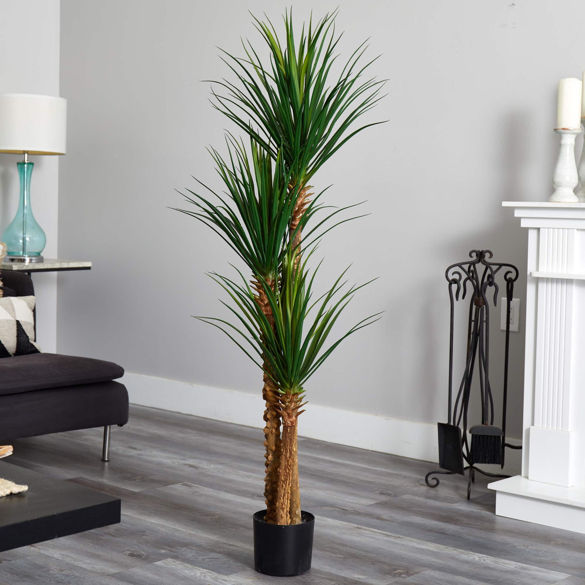 5ft. Potted Yucca Tree