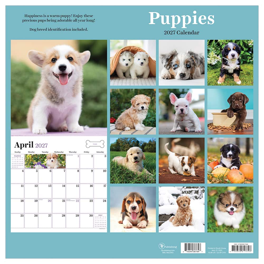 2027 Puppies Wall Calendar