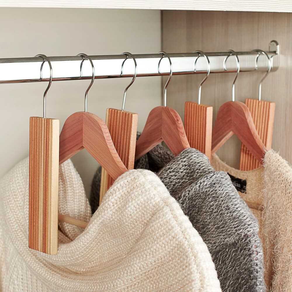 Household Essentials Hang-Up & Cube Cedar Moth Repellent Kit