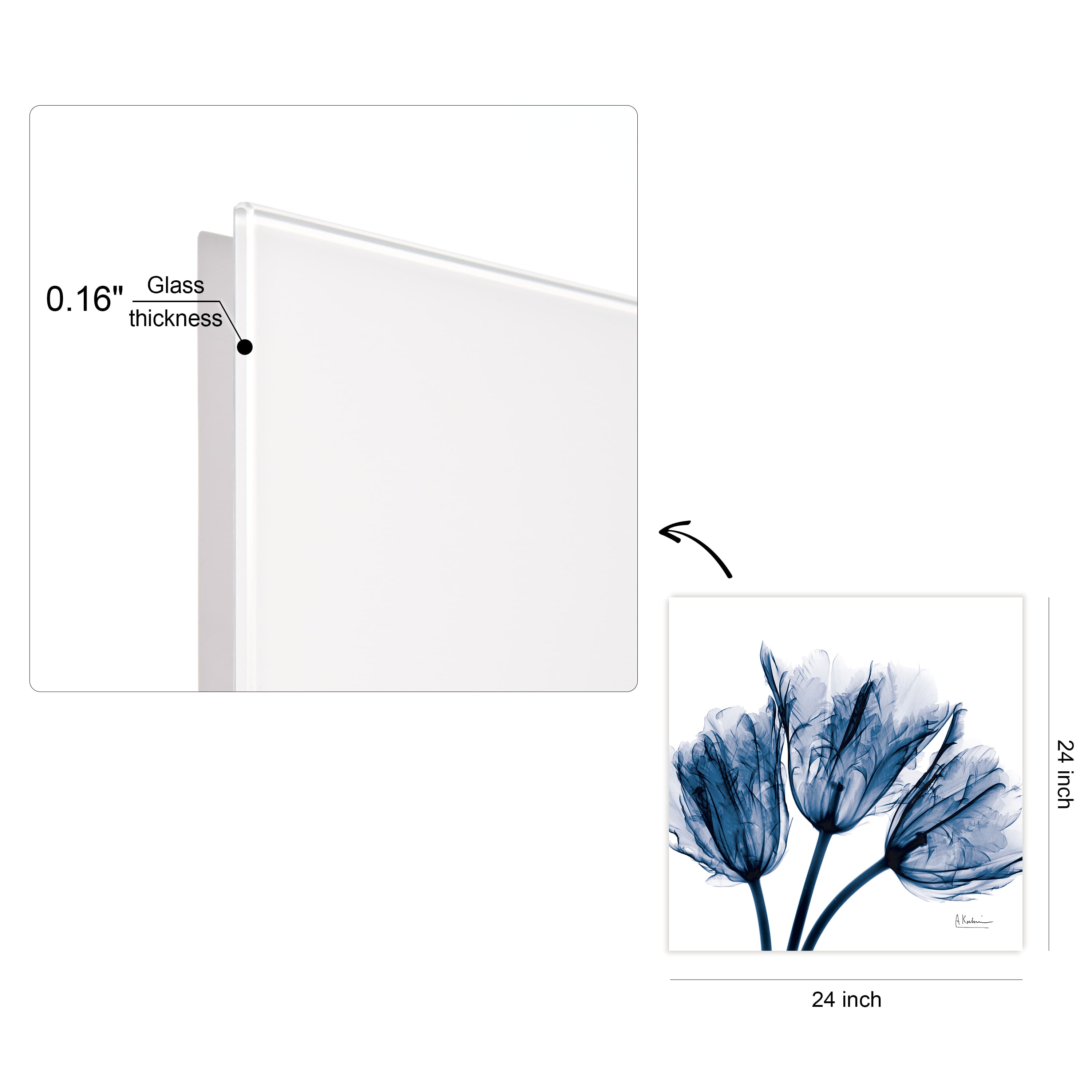 Empire Art Direct 24" x 24" Blue Tulip X-Ray Frameless Free Floating Printed Tempered Glass Wall Art