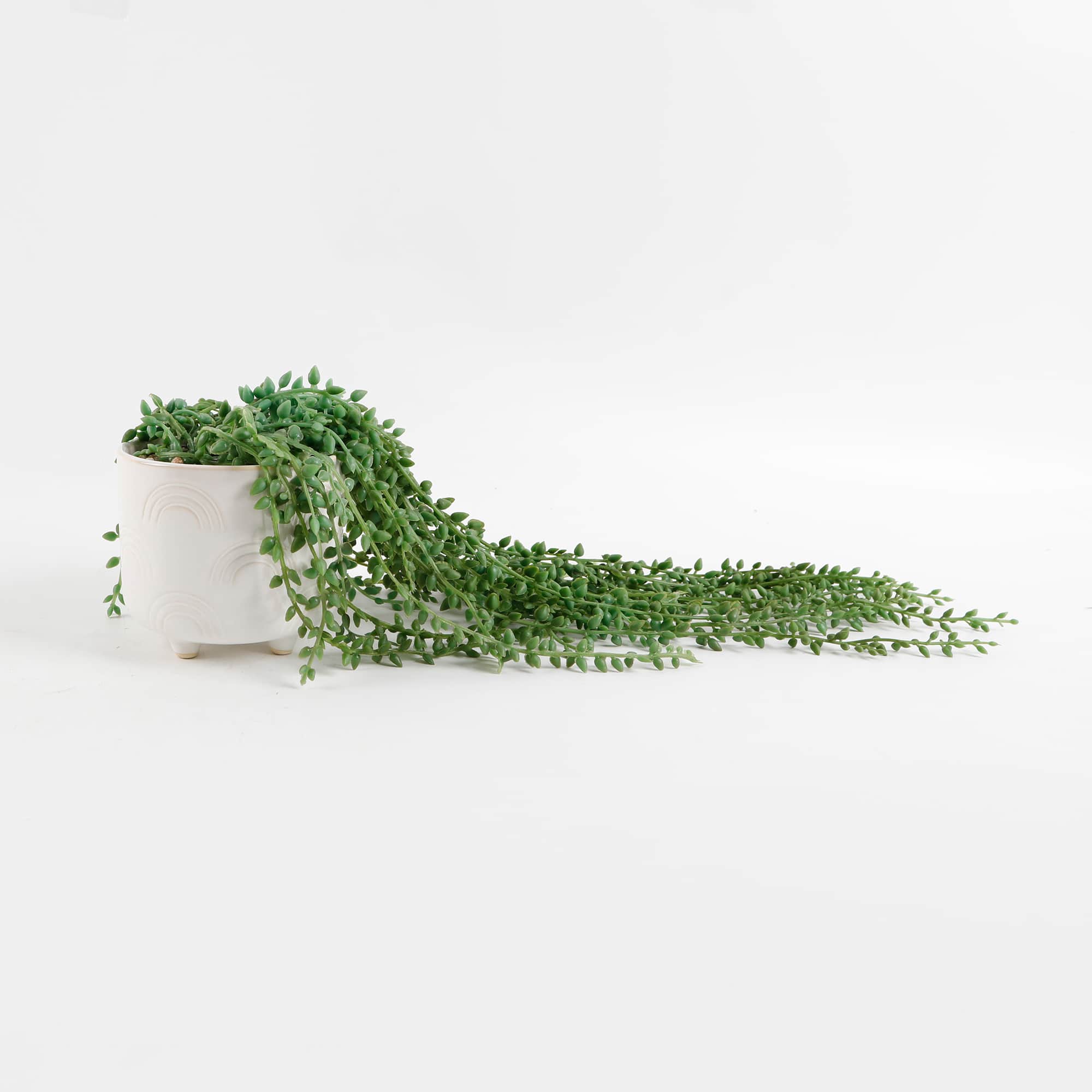 Flora Bunda® 17" String of Pearls in White Rainbow Ceramic Pot