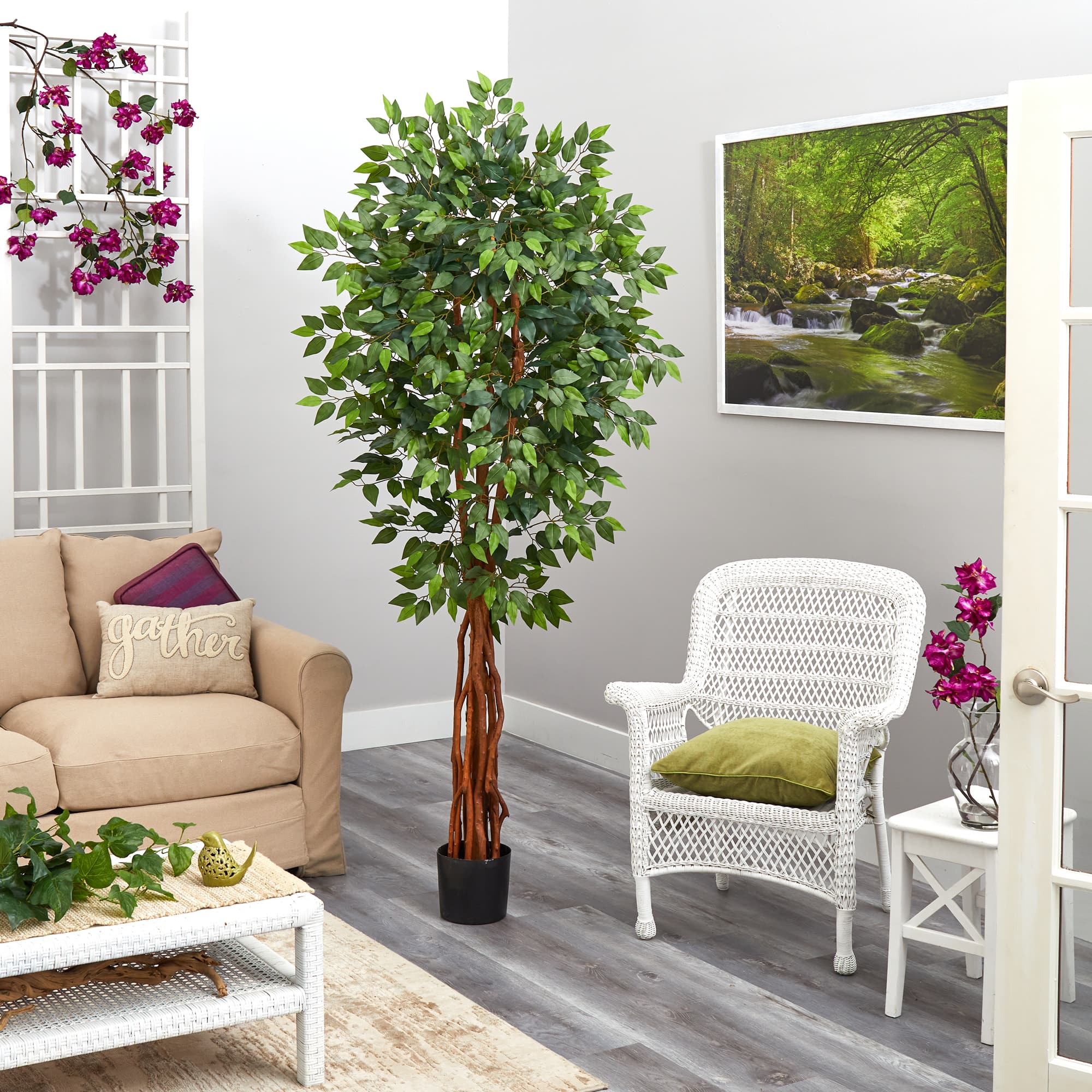 6.5ft. Potted Super Deluxe Ficus Tree