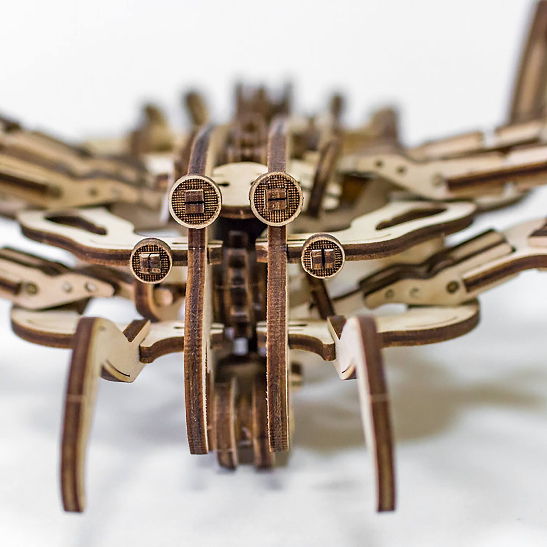 EWA™ Eco-Wood-Art Spider 3D Wooden STEM Construction Kit