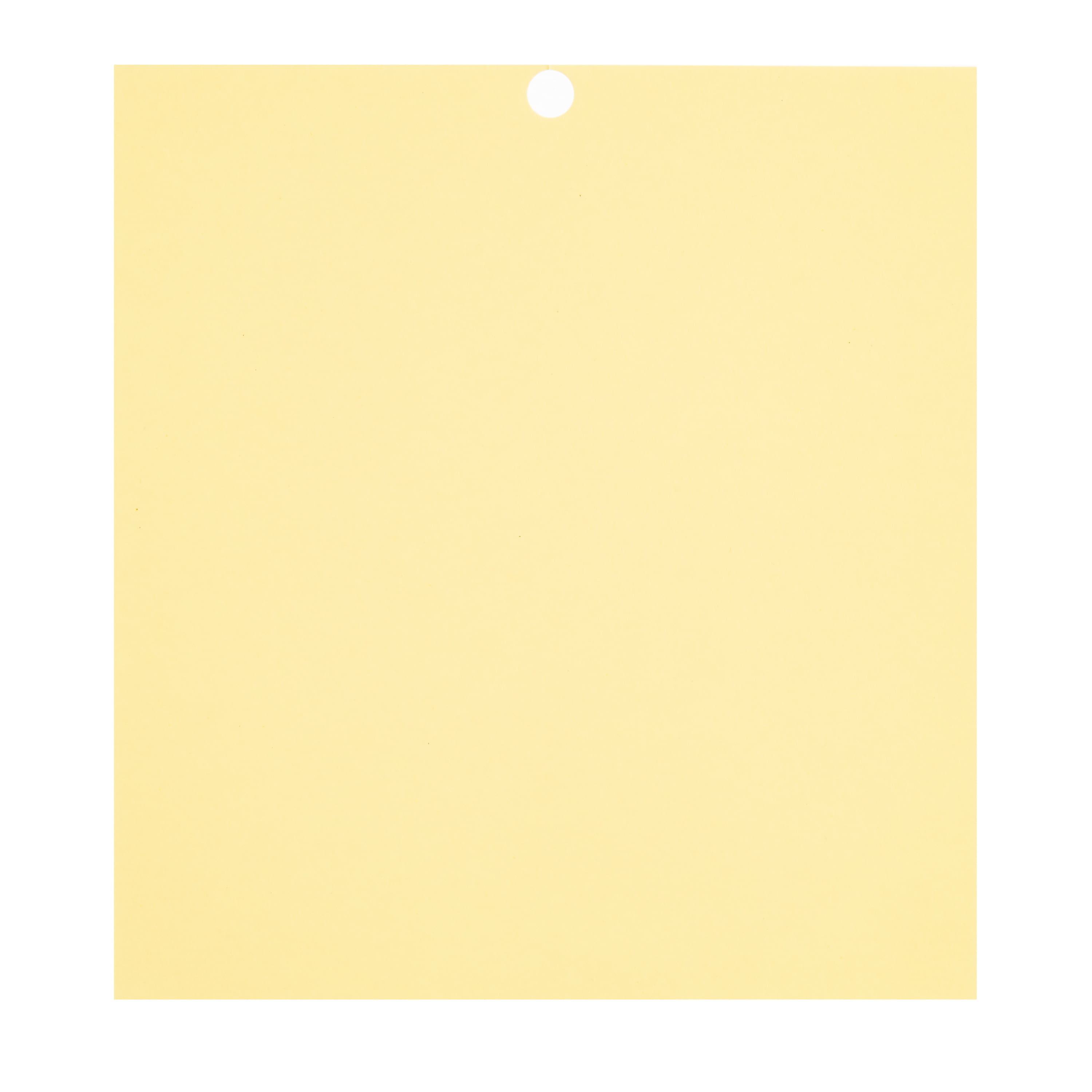 12 Packs: 100 ct. (1,200 total) Citrus 6" x 6.5" Cardstock Paper by Recollections™