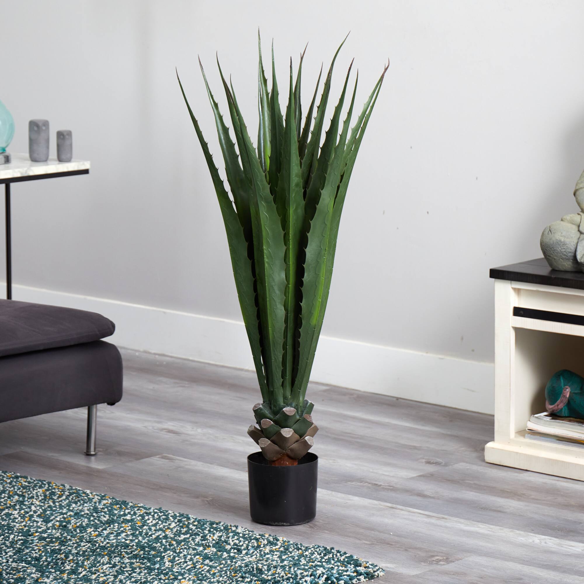 4ft. Potted Agave Plant