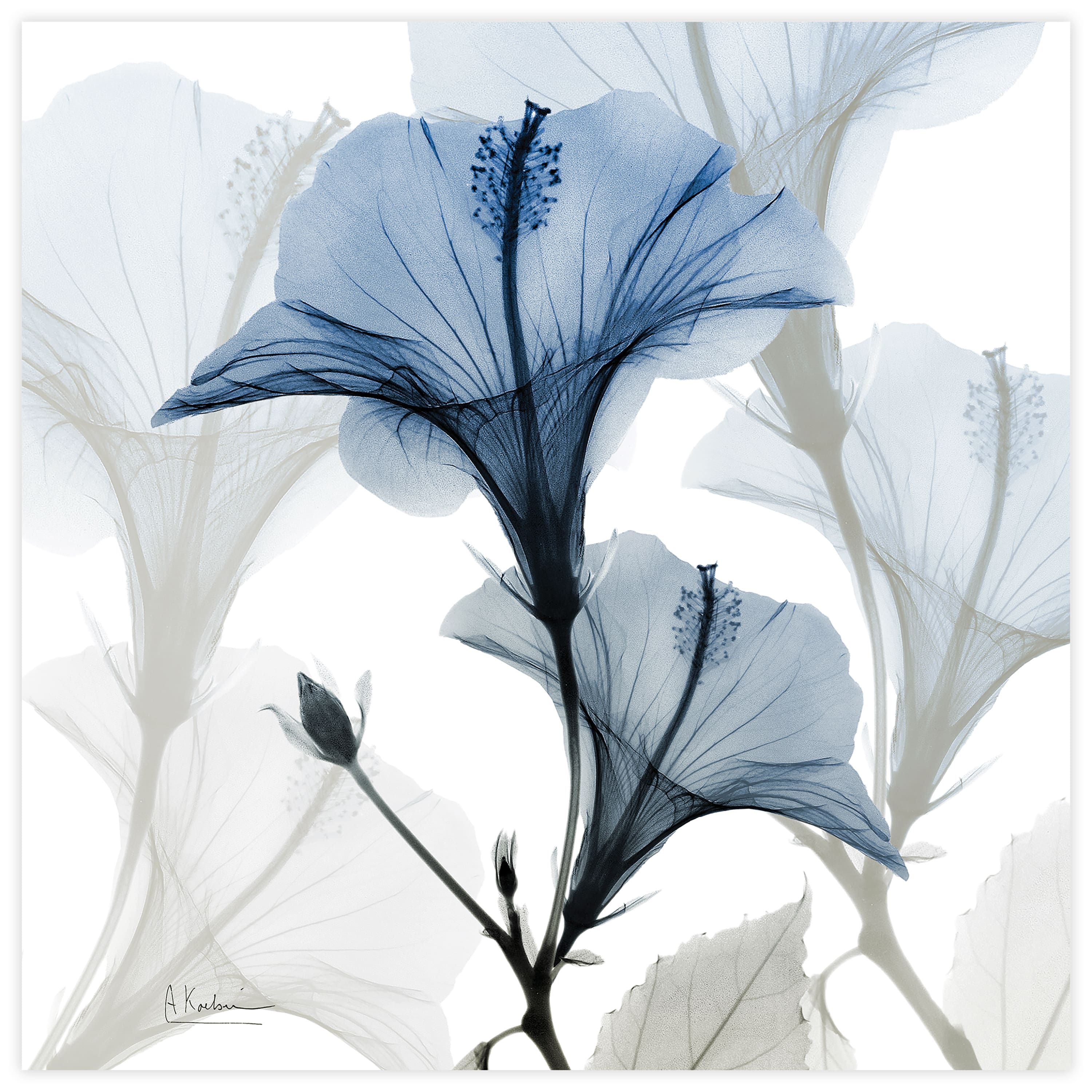 Empire Art Direct 24" x 24" Blue X-Ray Floral Free Floating Tempered Glass Wall Art