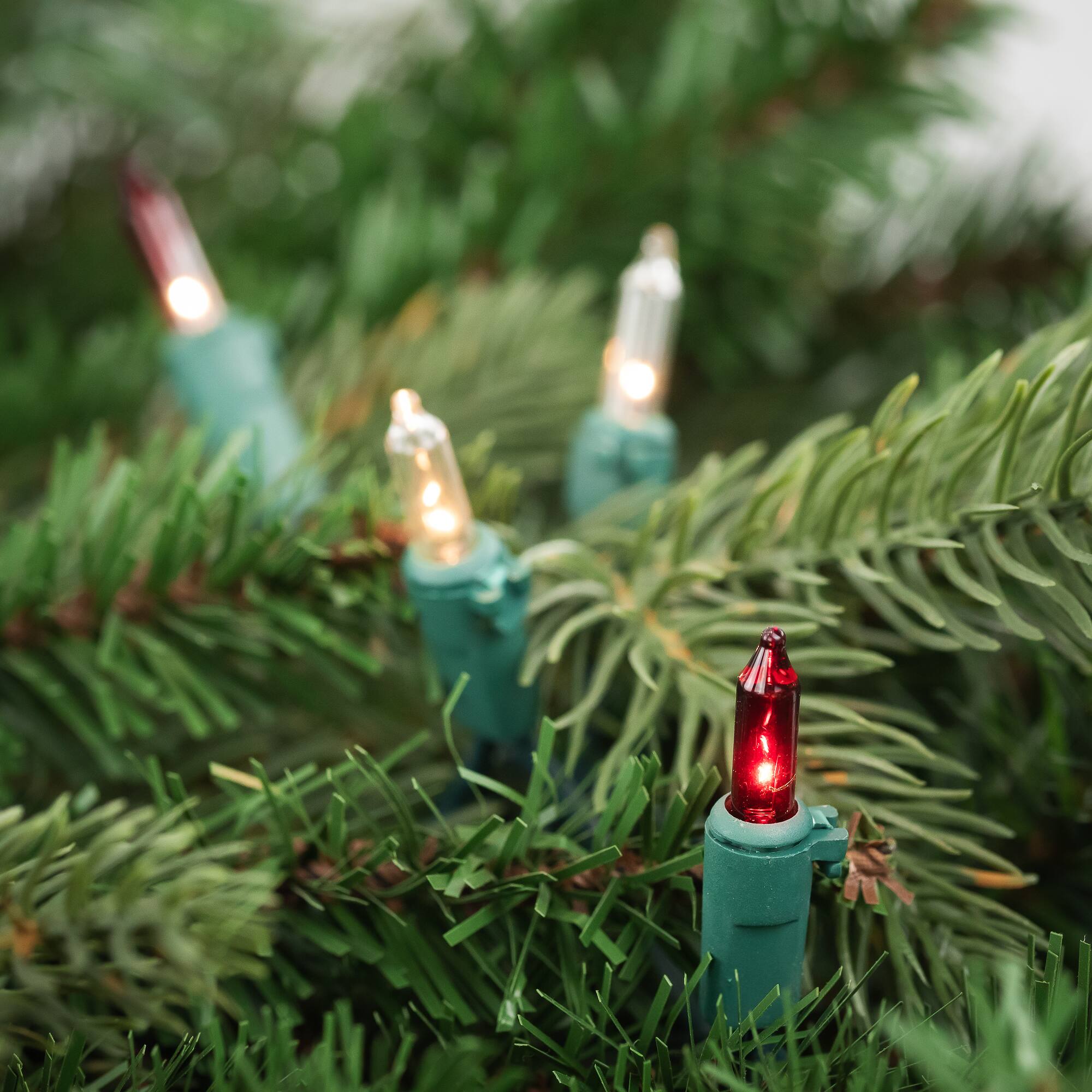 50ct. Mini Christmas String Lights with Green Wire