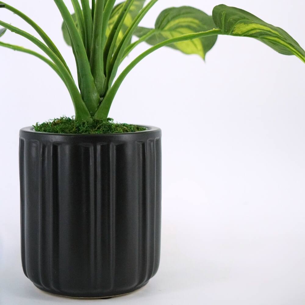 House of Silk Flowers 24" Small Faux Hosta in Classic Matte Black Ceramic Planter