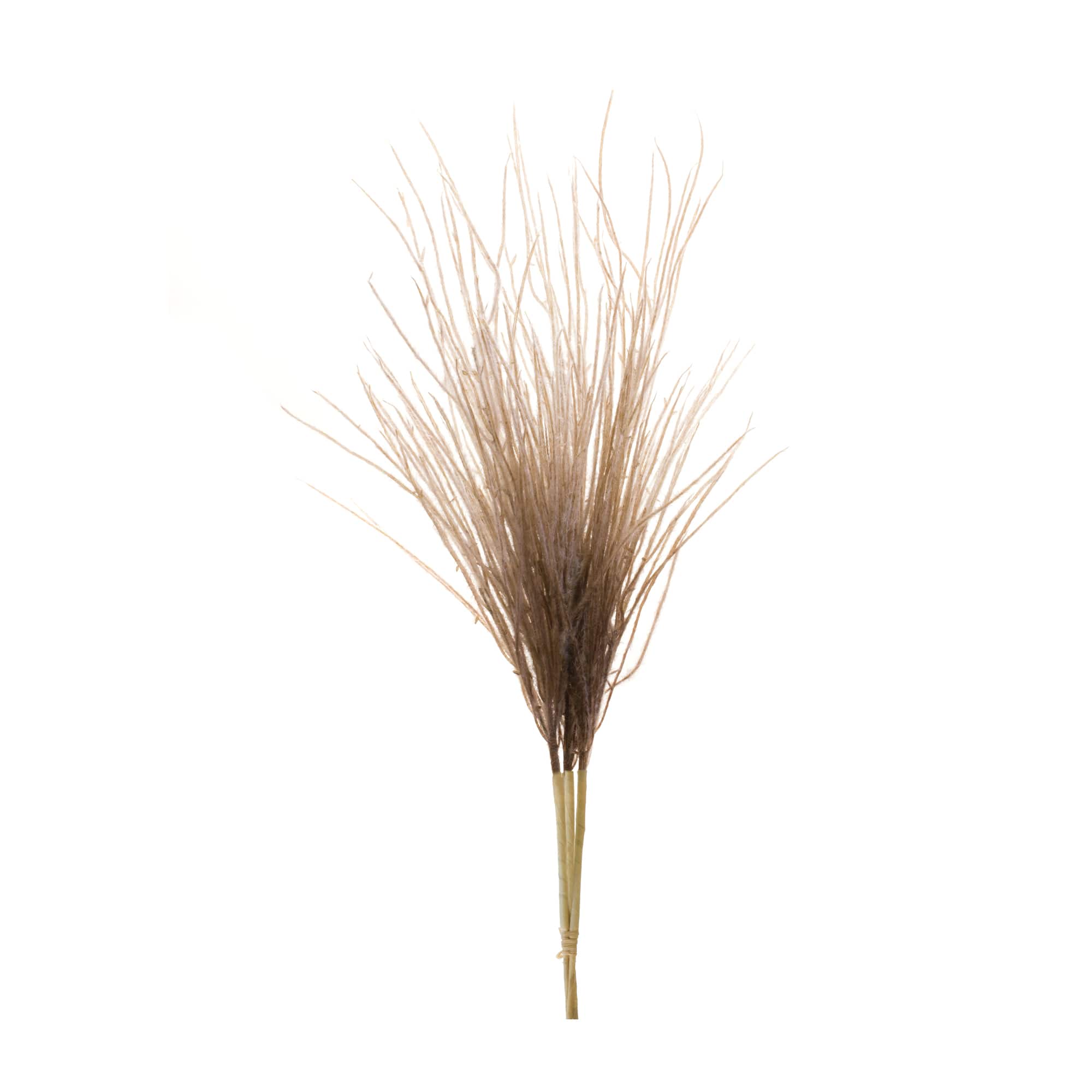 41" Grass Plume Bundles