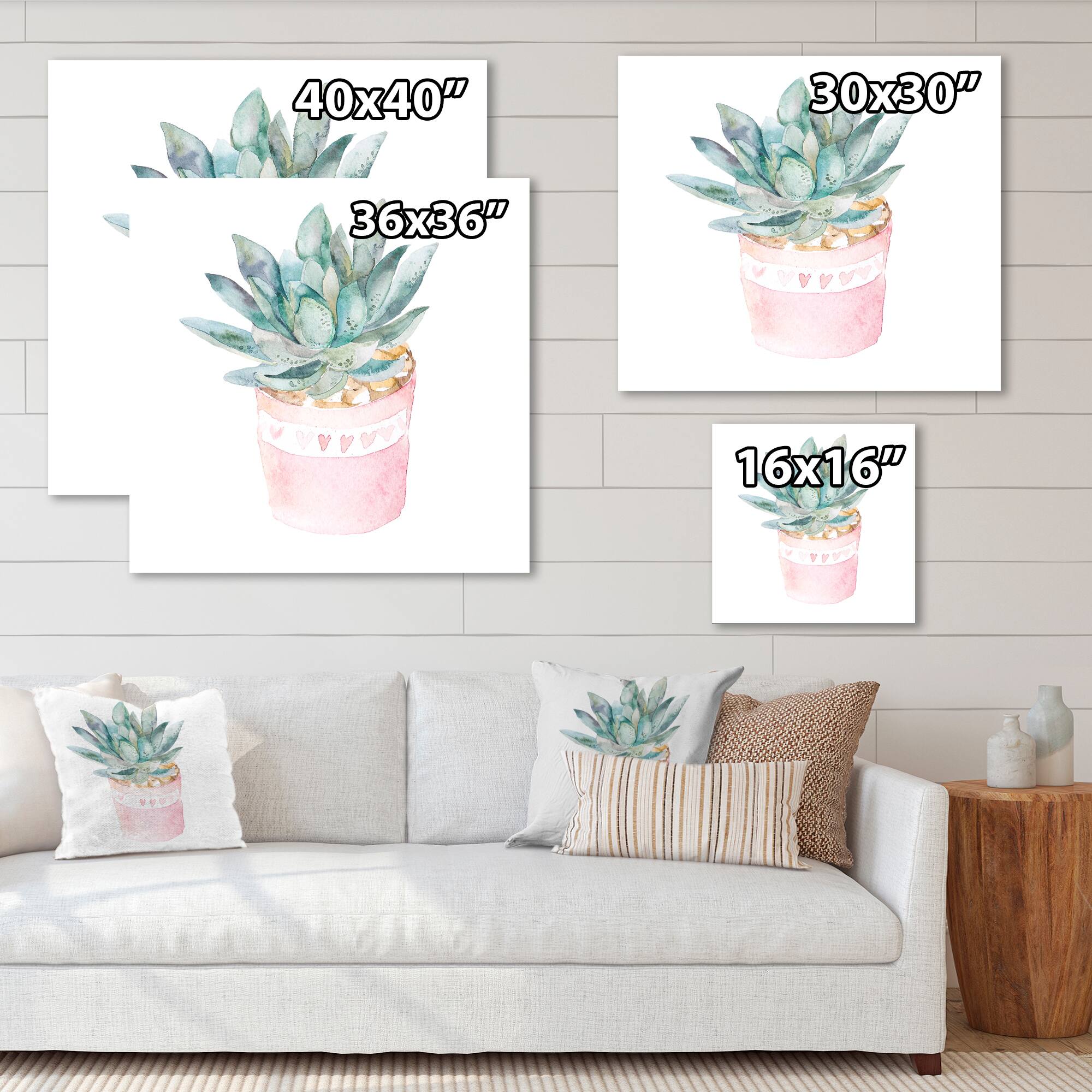 Designart - Cactus and Succulent House Plants II