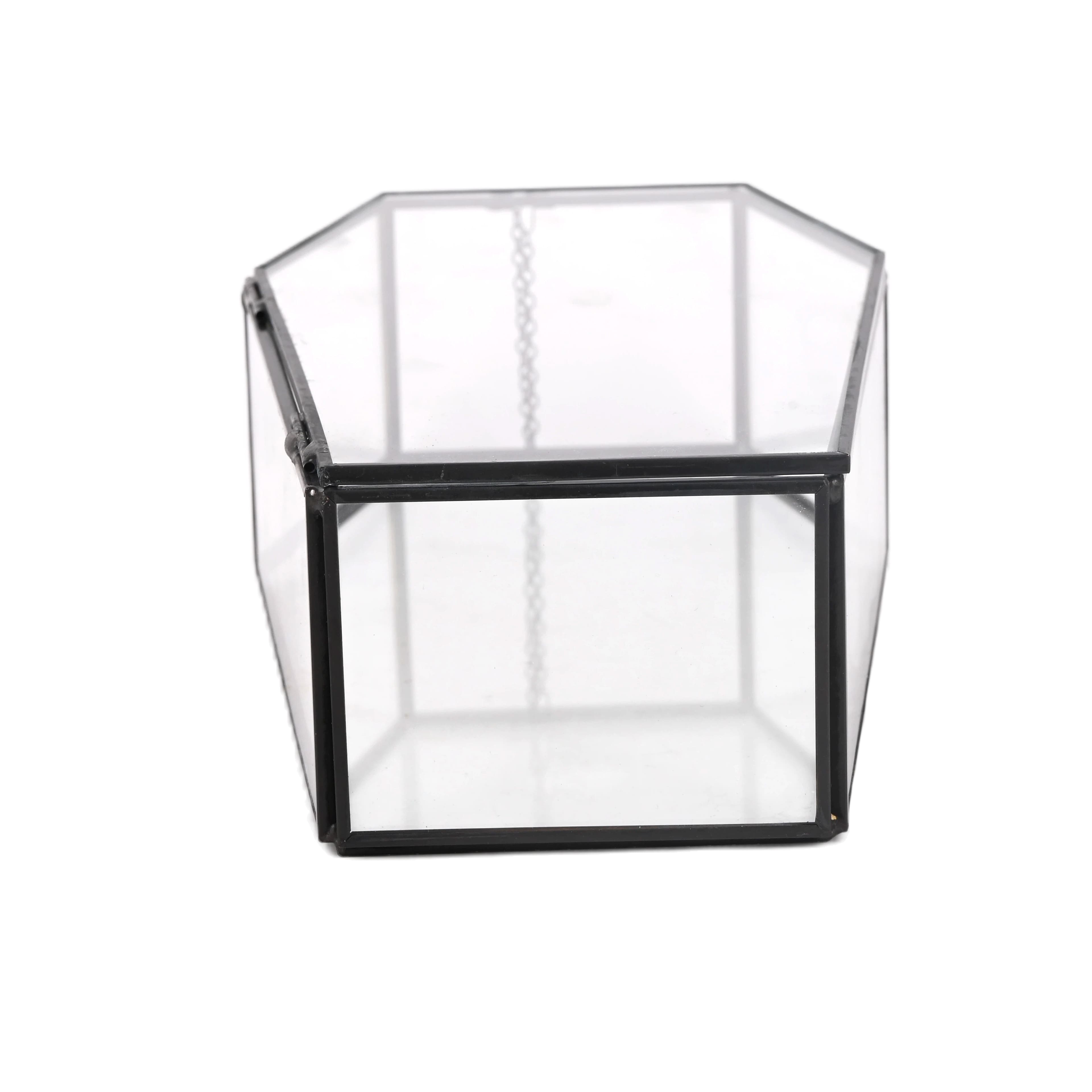 Clear Glass Terrarium Coffin with Lid by Ashland