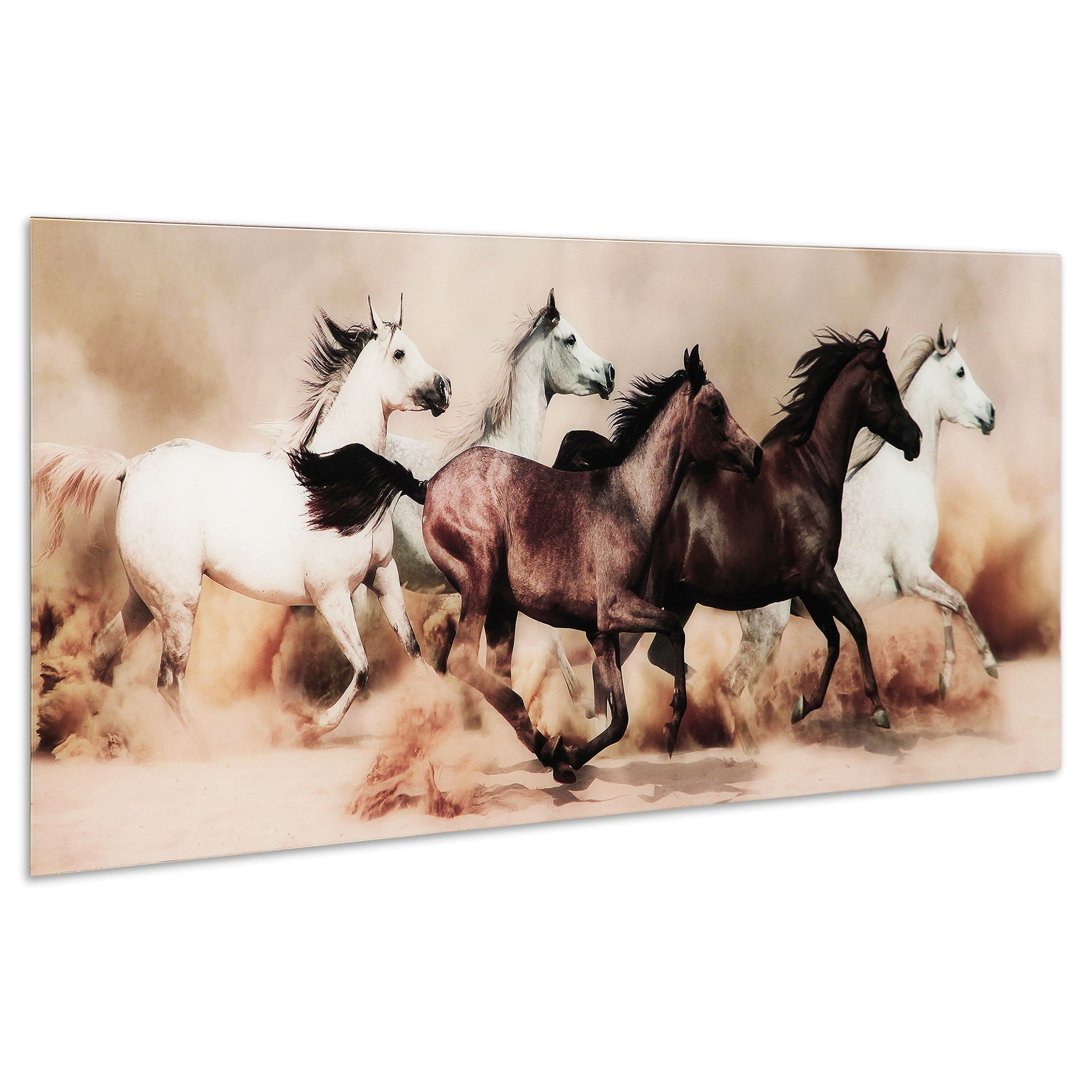 Empire Art Direct 63" x 24" Stampede Frameless Free Floating Printed Tempered Art Glass Wall Art