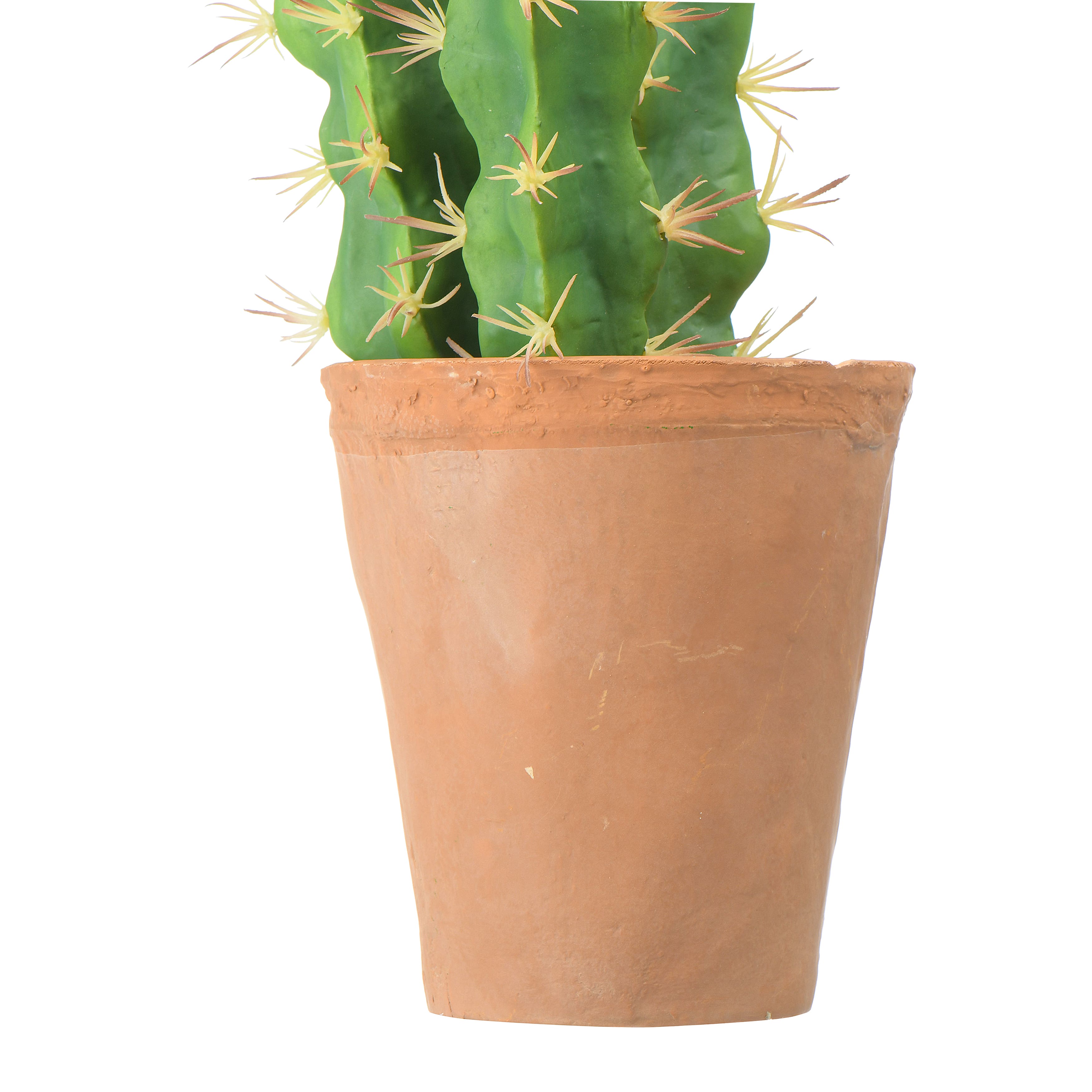 Hello Honey® 18" Cereus Cactus in Terra Cotta Colored Pot