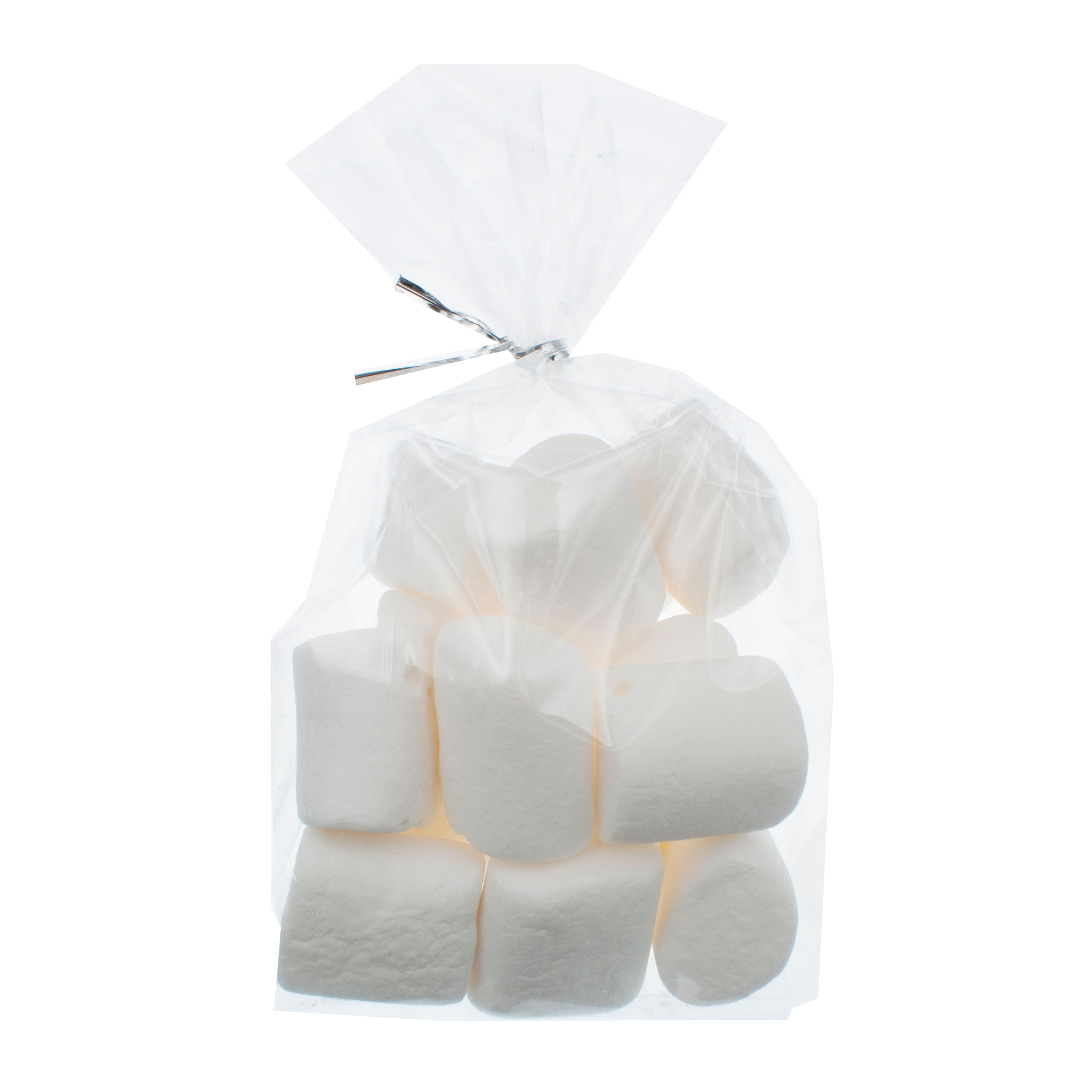 Clear Rectangle Treat Bags with Ties by Celebrate It®, 50ct.