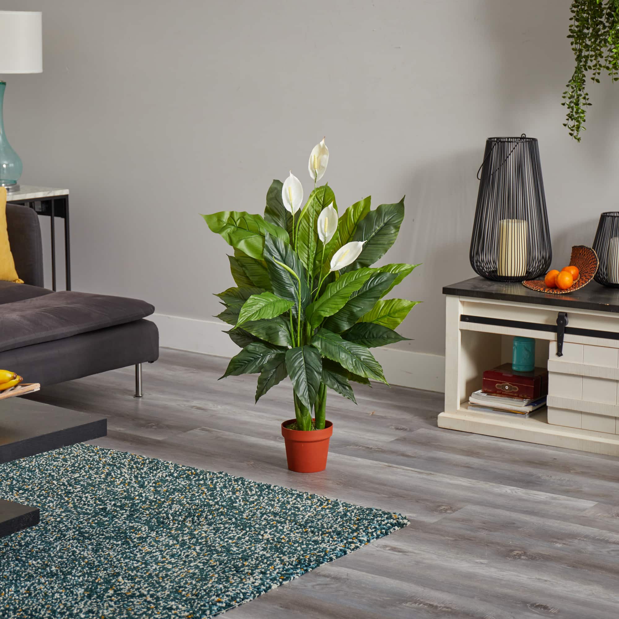 3.5ft. Potted Peace Lily