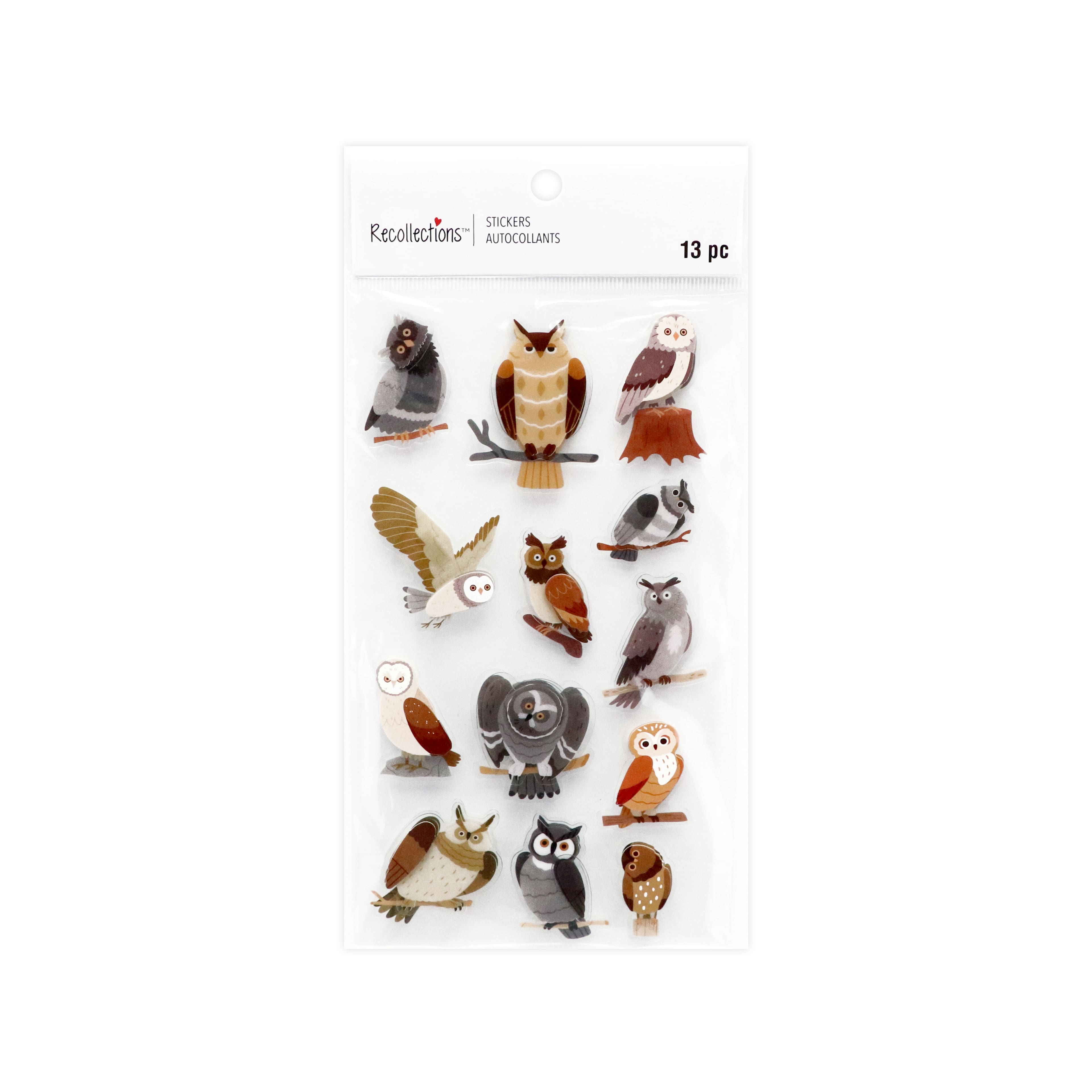 Owl 3D Stickers by Recollections™