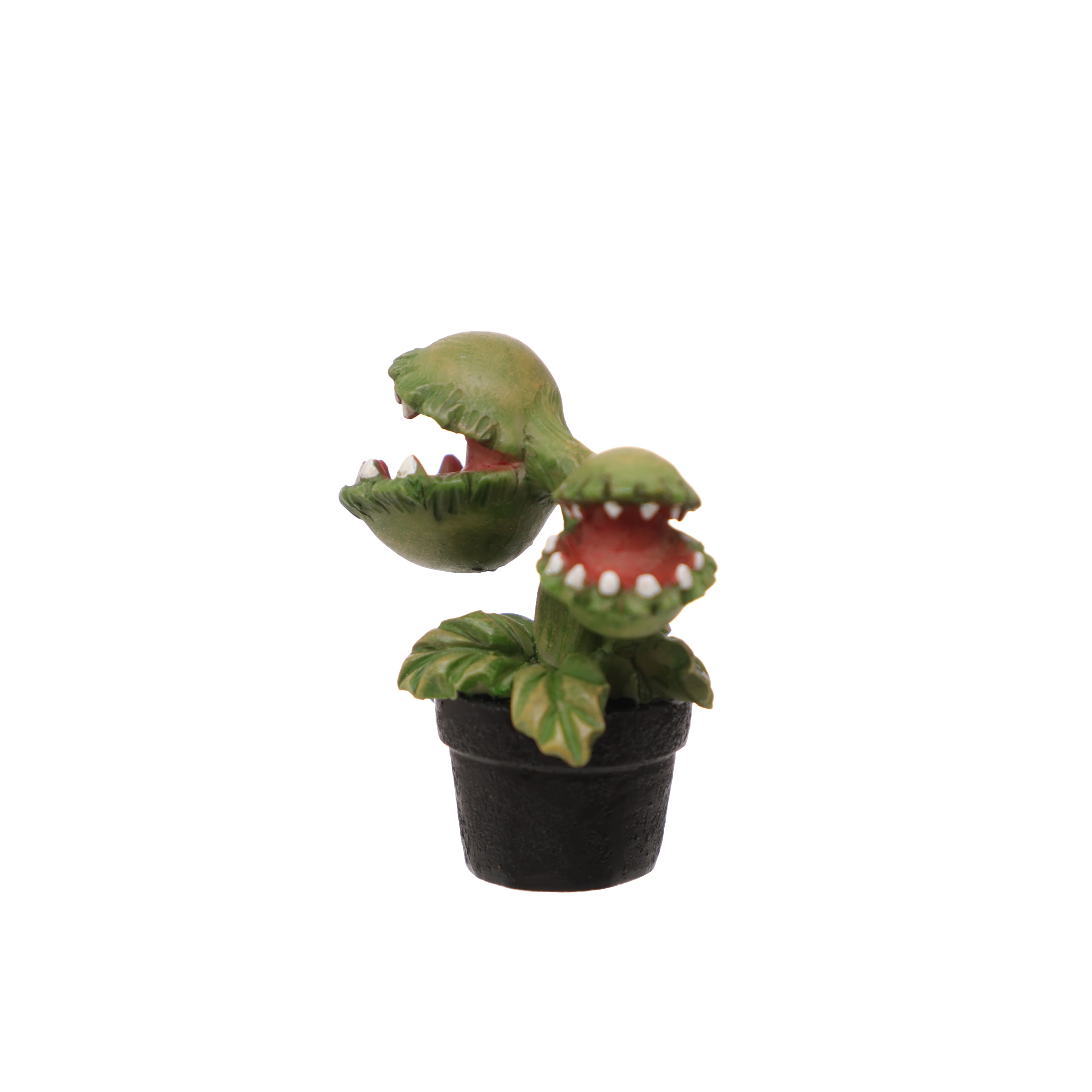 Mini Venus Flytrap by Ashland®