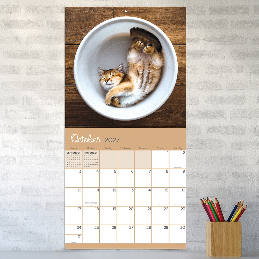 2027 Cat Dreams Wall Calendar