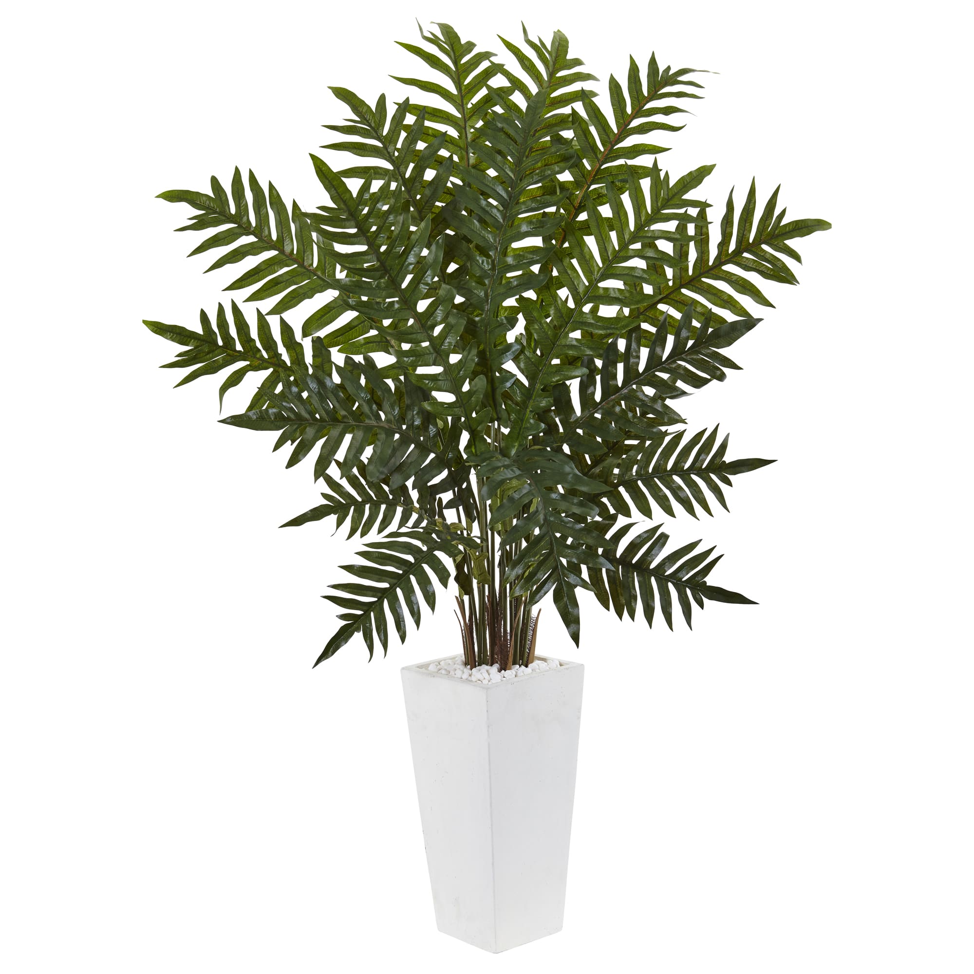 4.5ft. Evergreen Plant in White Planter