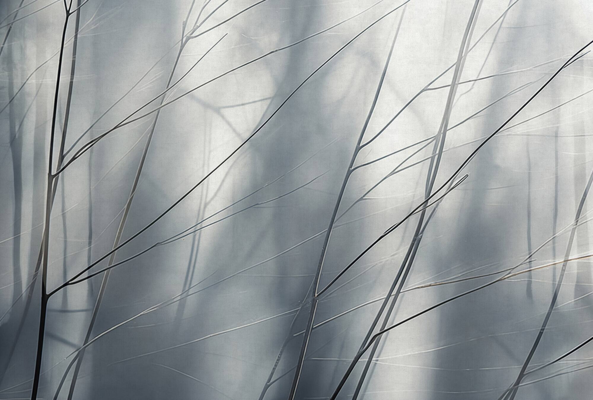 Designs Direct Aeris Gray Wall Mural