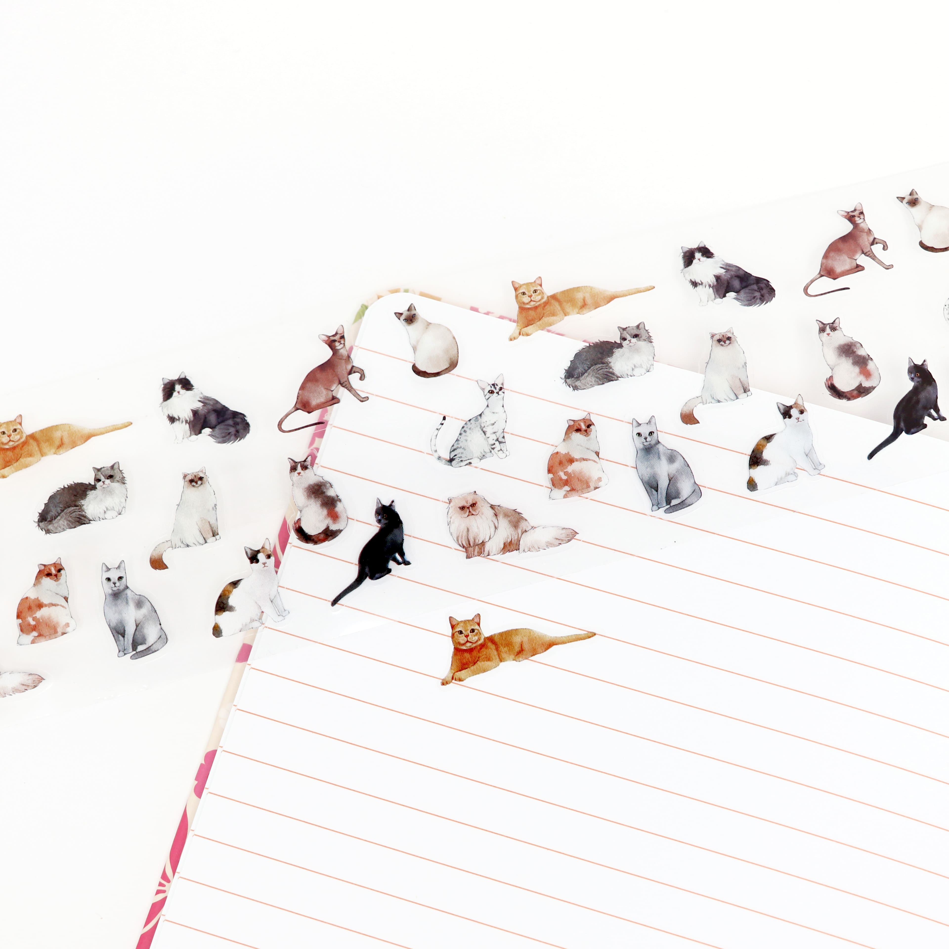 2.5" x 2.2yd. Cats PET Sticker Tape by Recollections™