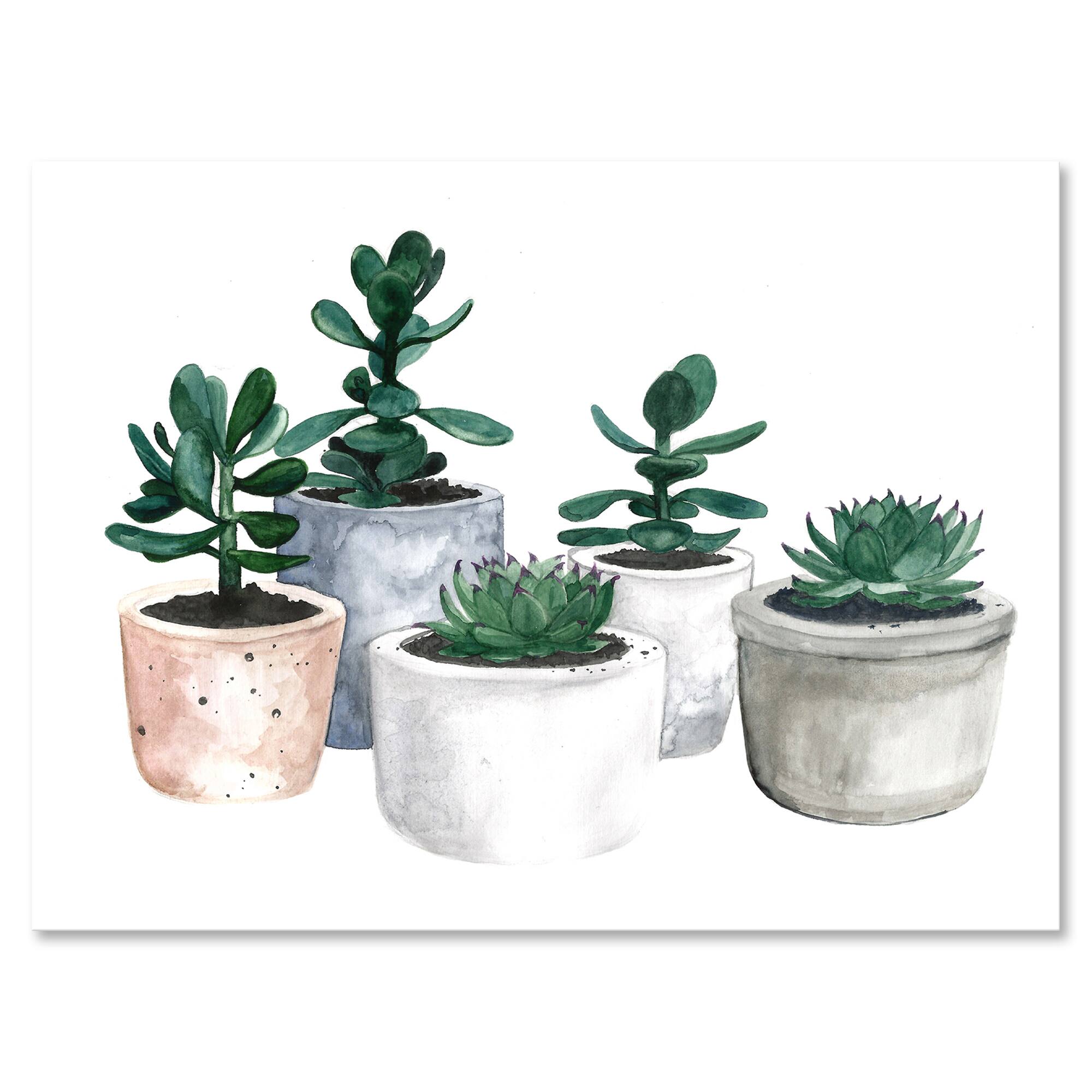 Designart - Cactus and Succulent House Plants VI
