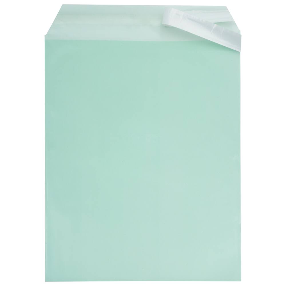 JAM Paper 8.93" x 11.25" Self Adhesive Closure Cello Sleeves, 100ct.