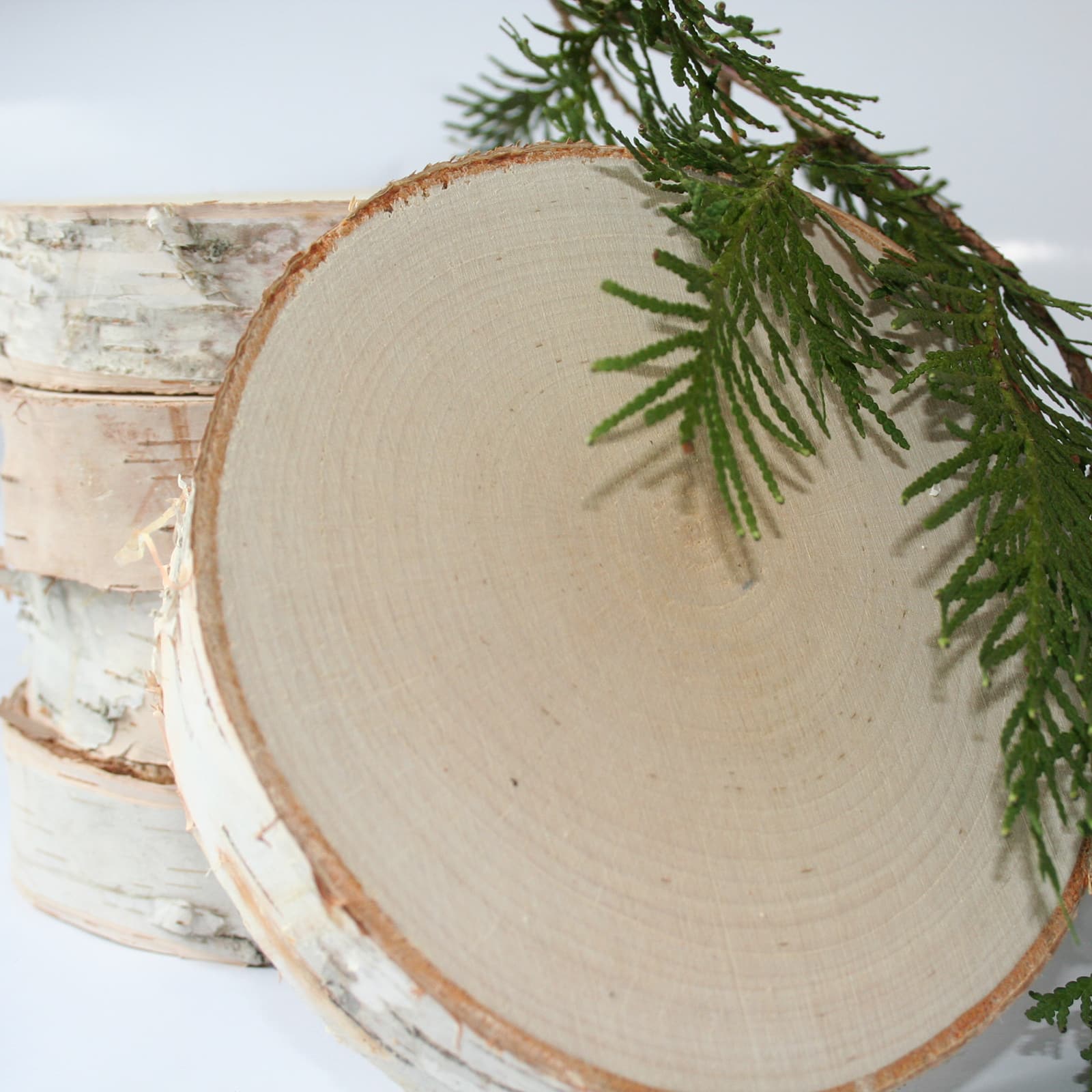 Wilson® Enterprises 9" Thick Birch Rounds, 4ct.