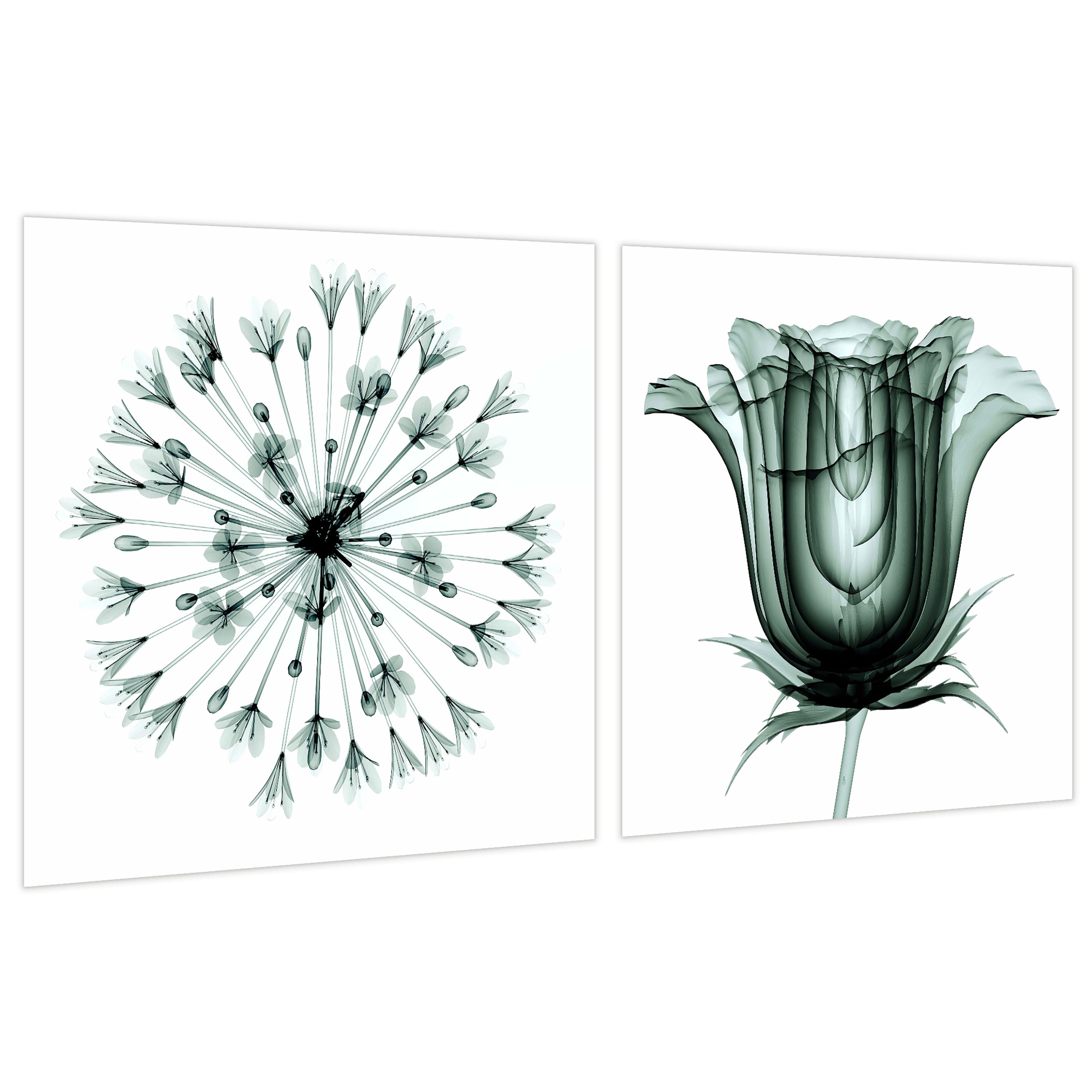 Empire Art Direct 24" x 24" African Bluebell Rose Veil Frameless Printed Tempered Glass Wall Art Set