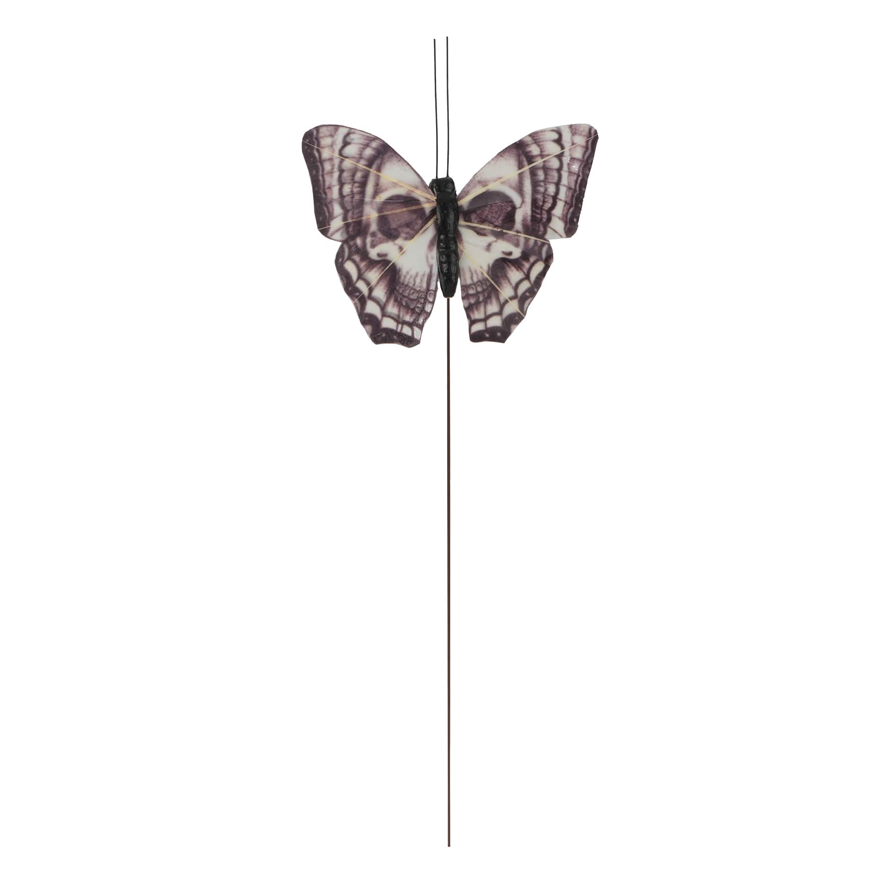Skull Feather Butterfly