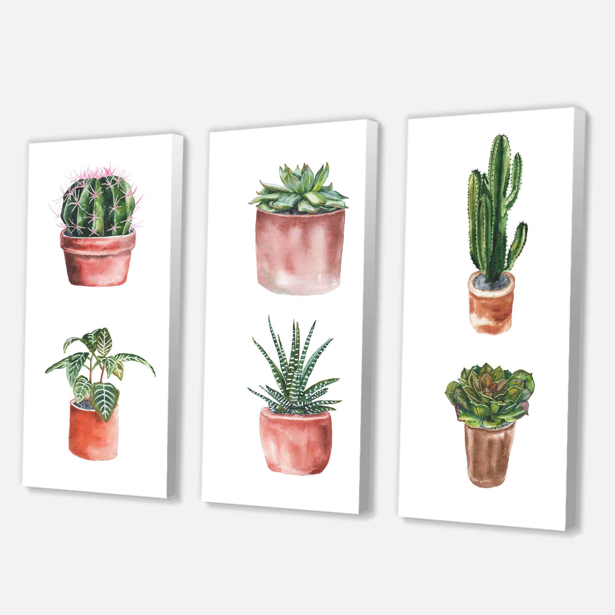 Designart - Flowers In A Pot Cacti and Succulents - Traditional Canvas Wall Art Print
