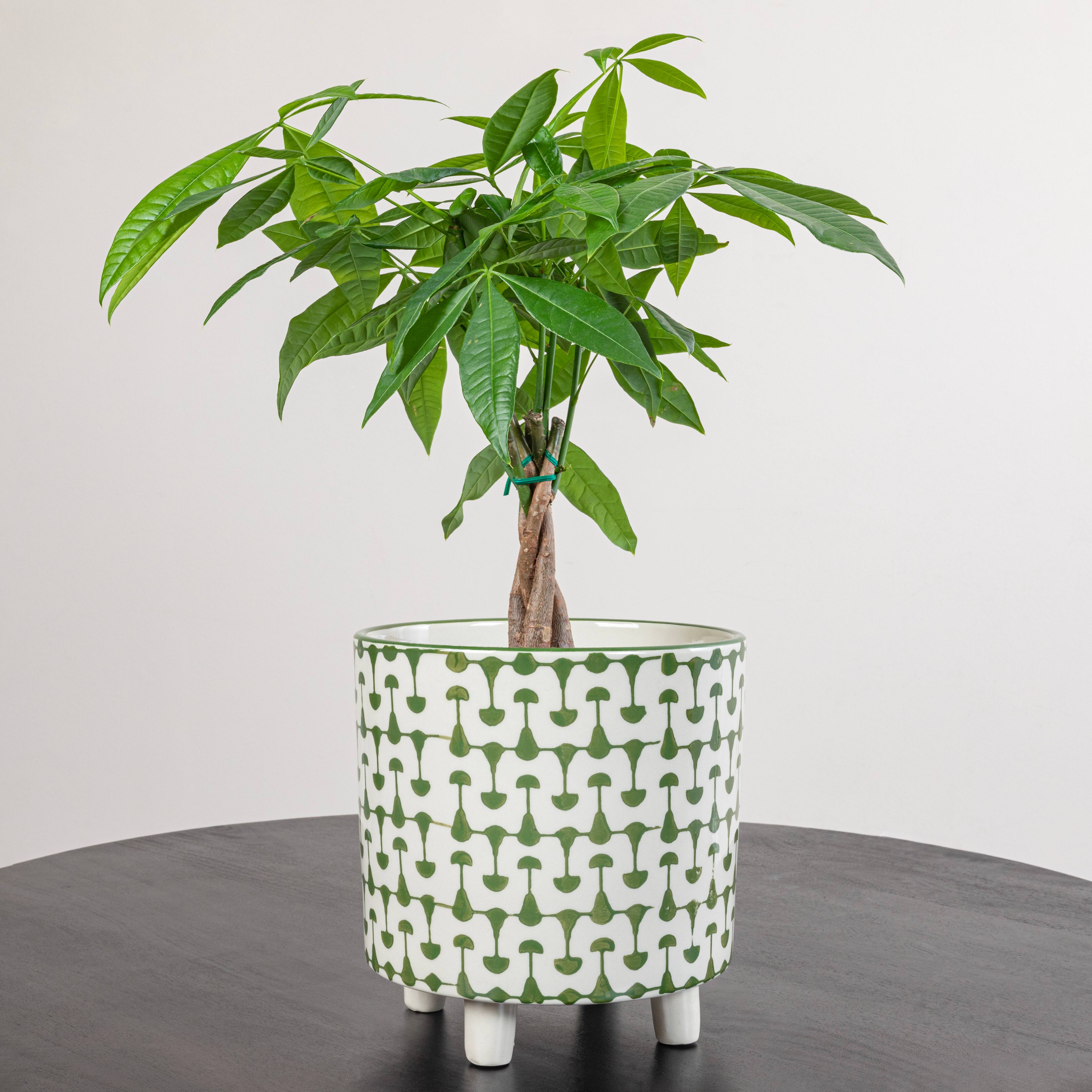 Hello Honey® 8" Footed Stoneware Planter with Abstract Print
