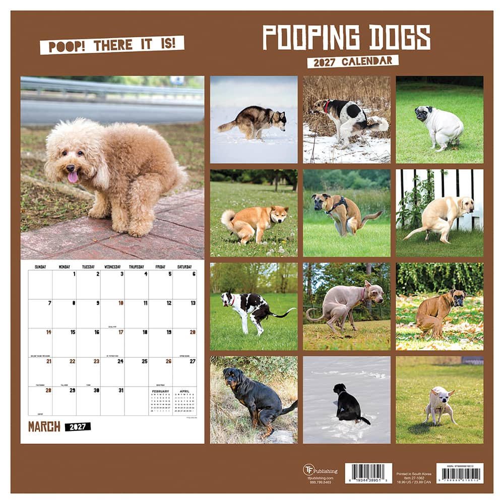 2027 Pooping Dogs Wall Calendar