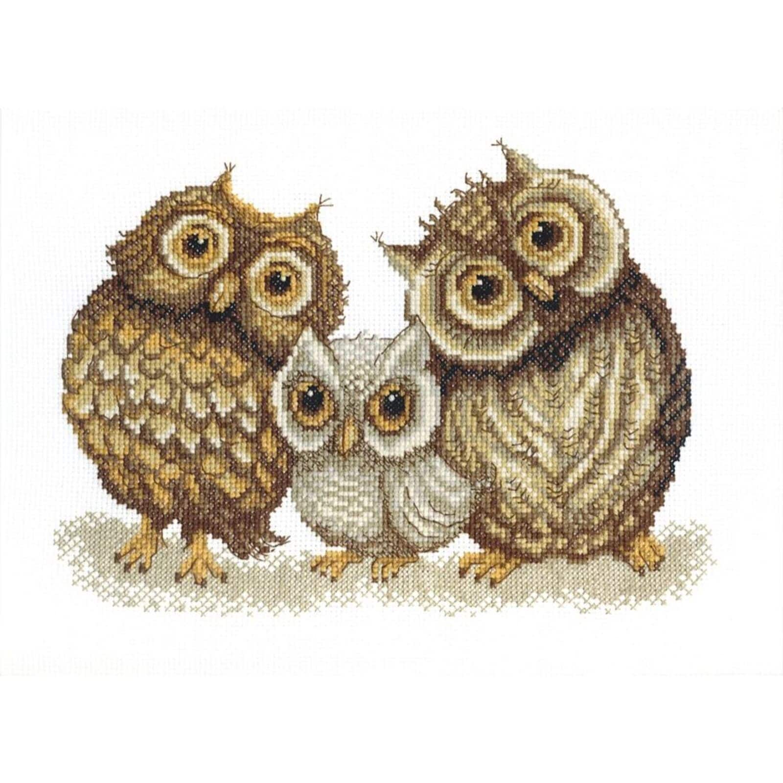 Crystal Art Counted Cross Stitch Kit Family Of Owls