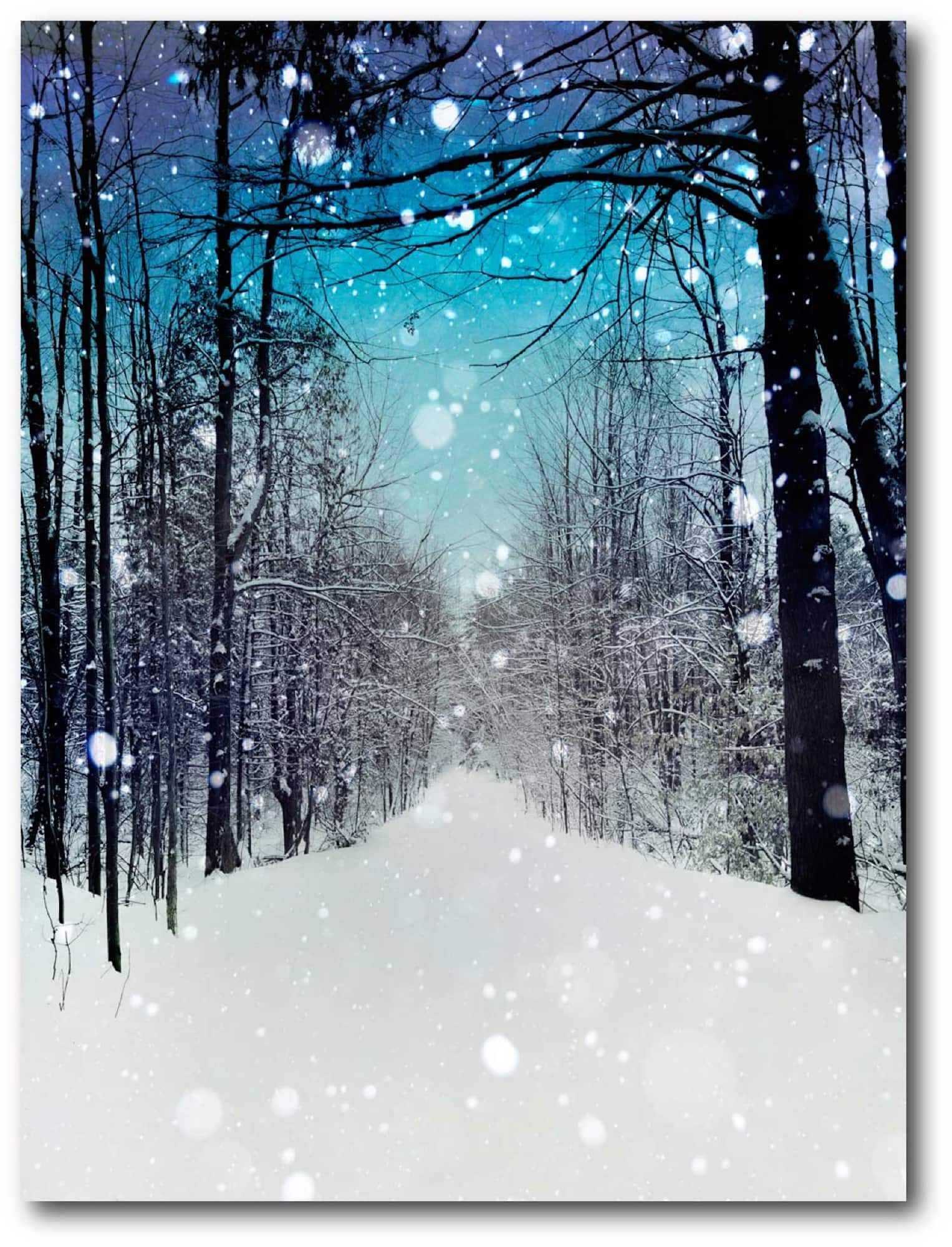 Courtside Market® Winter Wonderland Gallery-Wrapped Canvas Wall Art | 20" x 24" | Michaels®
