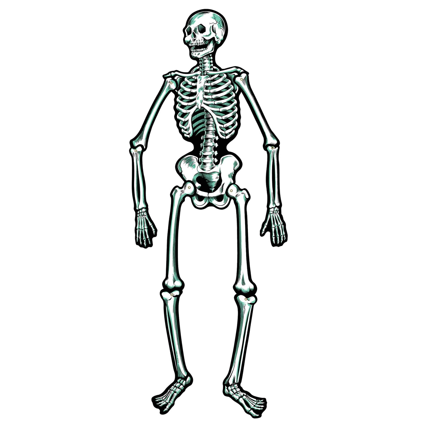 Beistle 22" Vintage Halloween Jointed Skeletons, 4ct.