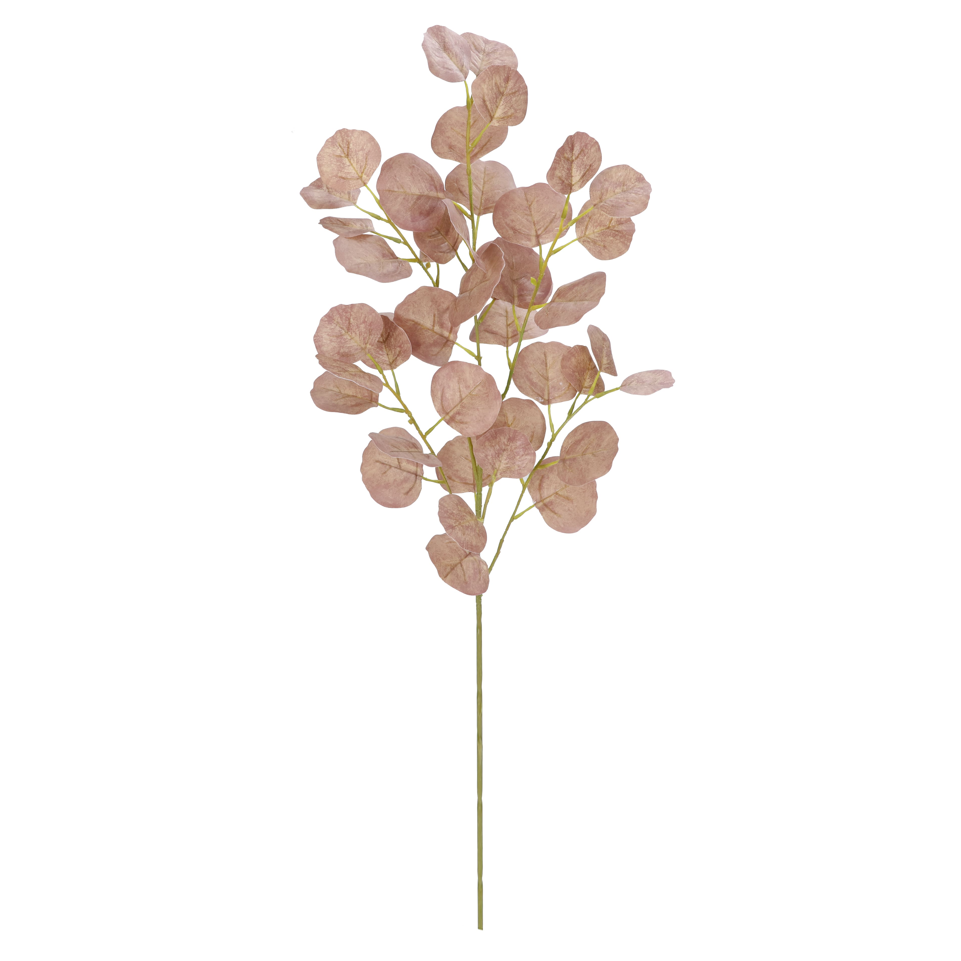 36" Oval Eucalyptus Real Touch Stem by Ashland®