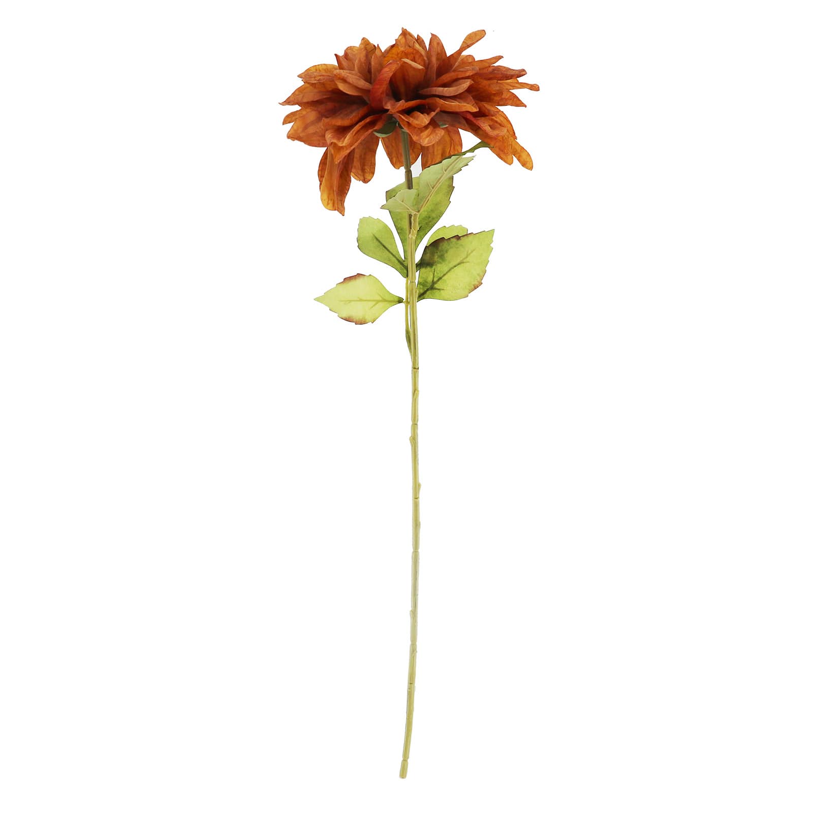 27" Brown Dahlia Stem by Ashland