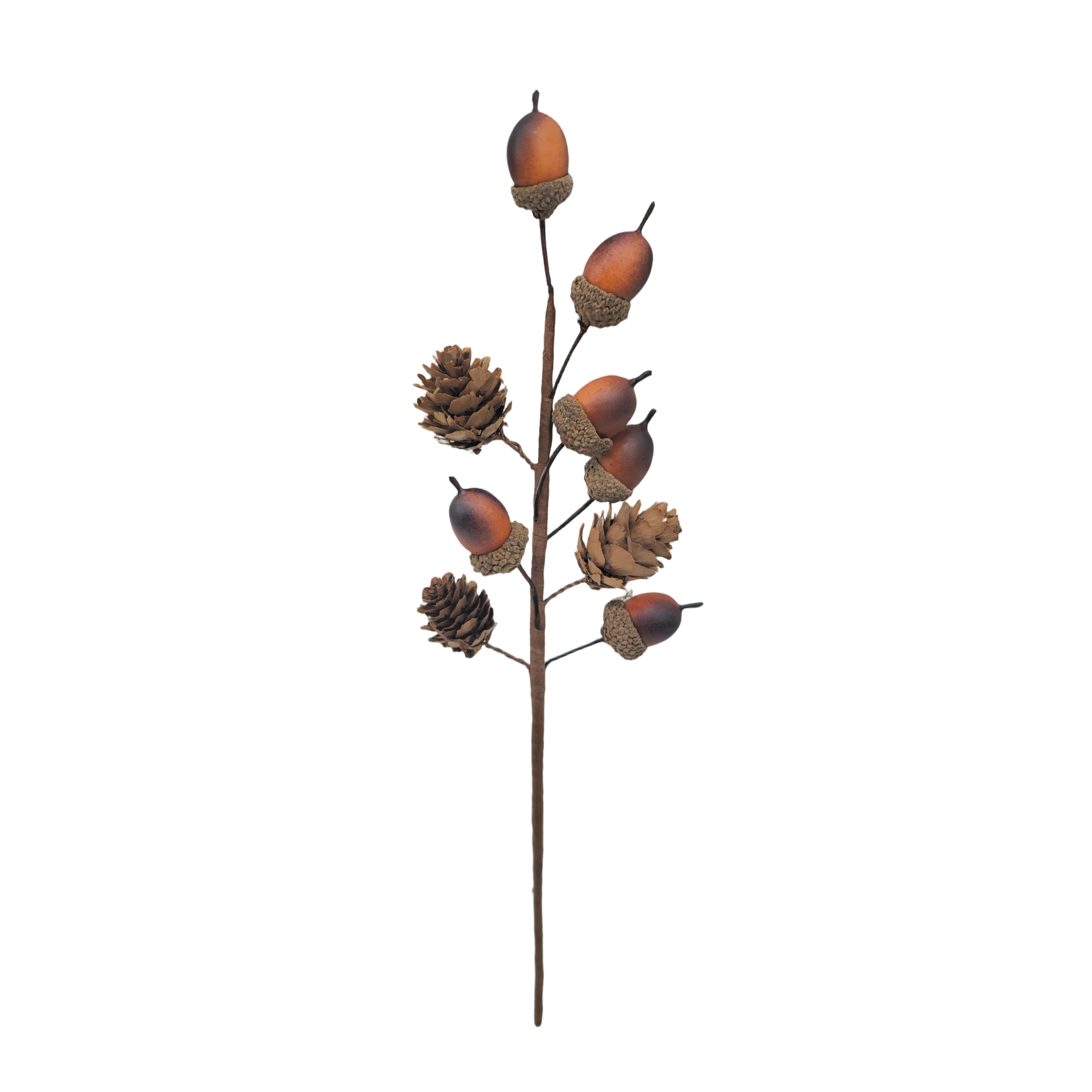 12" Acorn Pick by Ashland®