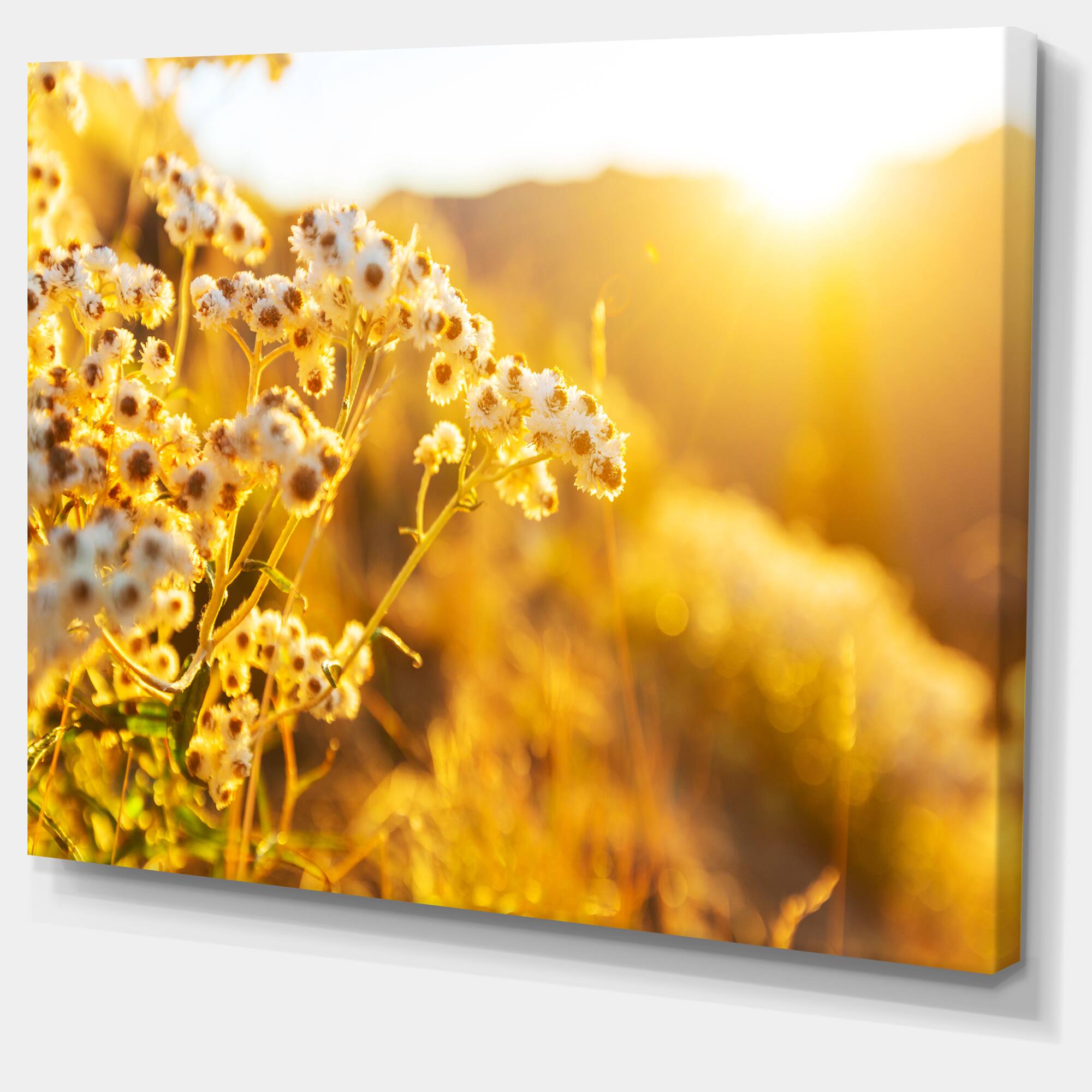 Designart - Bright Yellow Rural Garden Flowers