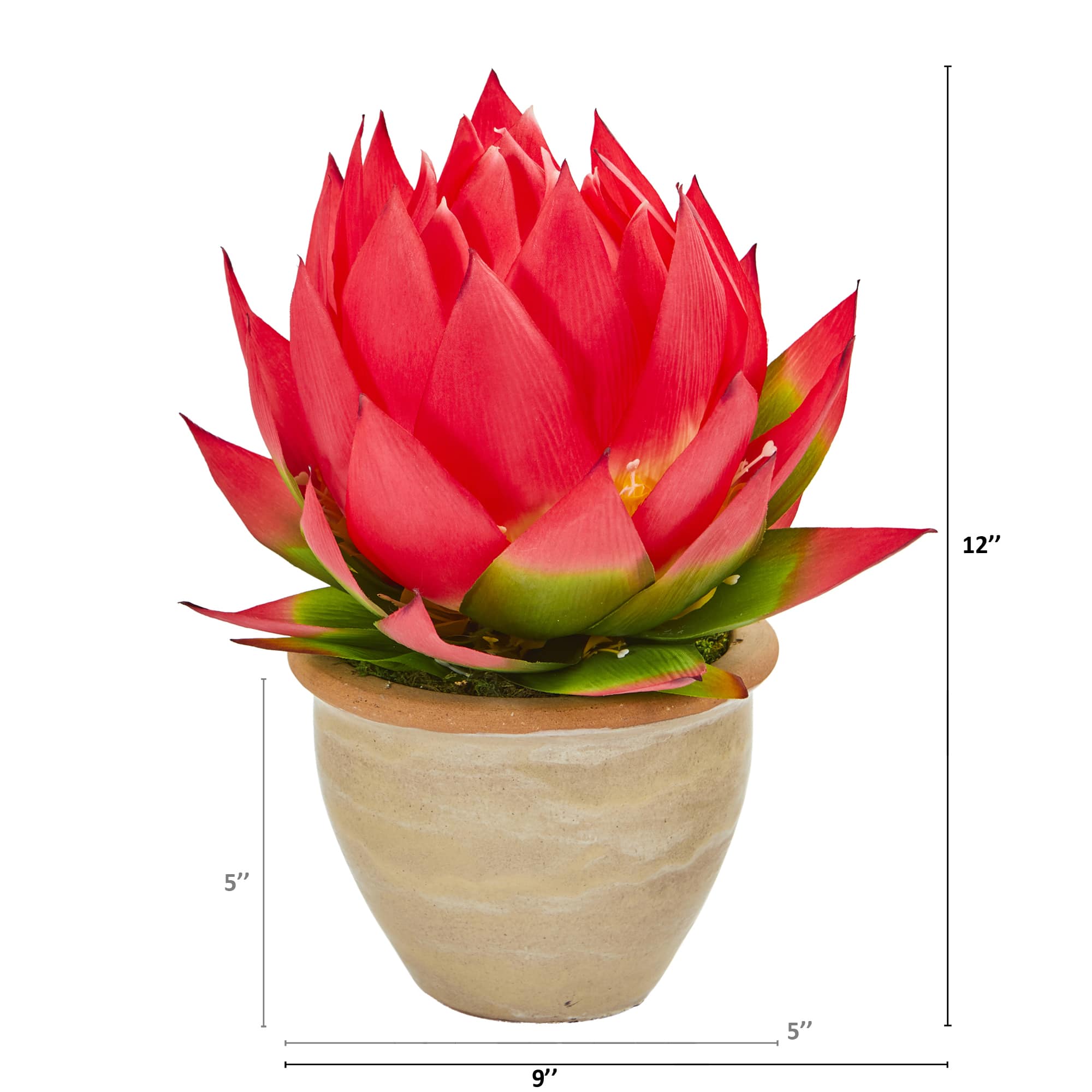 12" Red Musella Arrangement In Decorative Vase